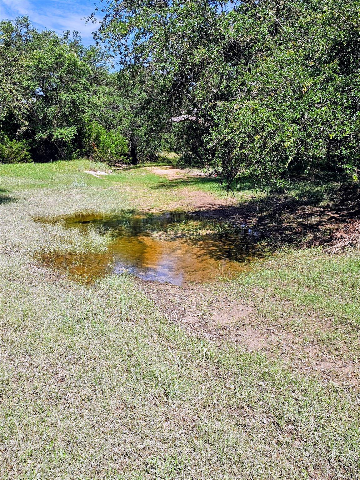 4462 Cr 390, Rocksprings, TX 78828