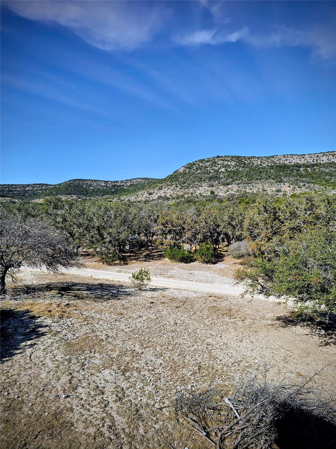 4462 Cr 390, Rocksprings, TX 78828