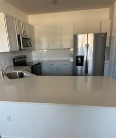 320 Cassandra Dr, Hutto, TX 78634