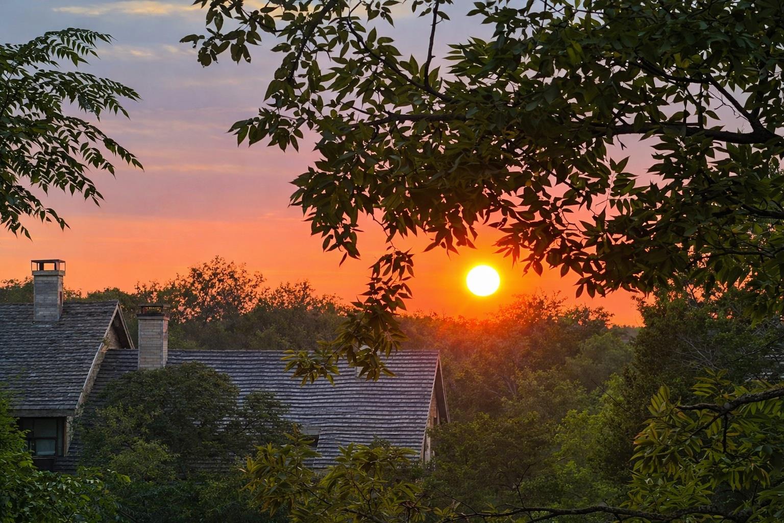 8200 Neely Dr # 219, Austin, TX 78759