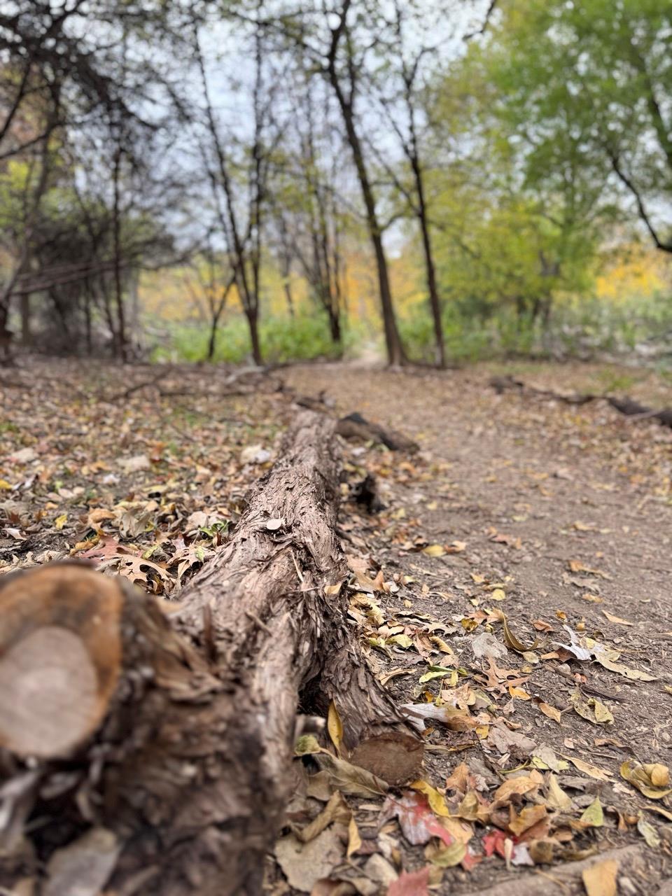 8200 Neely Dr # 219, Austin, TX 78759