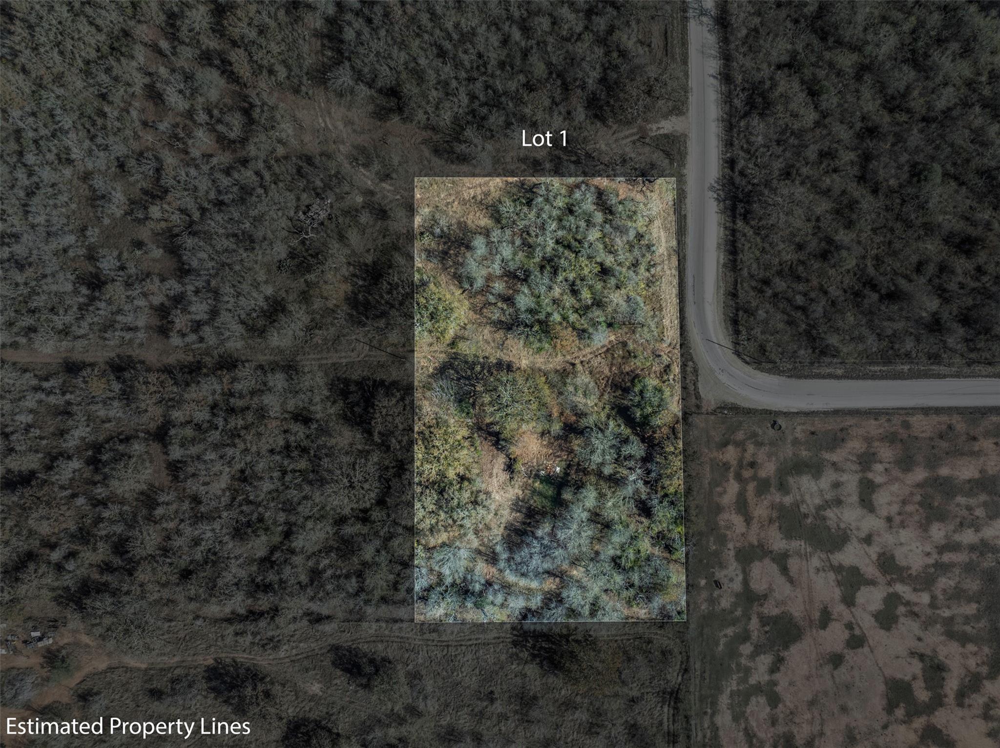 1088 Bugtussle Ln, Luling, TX 78648