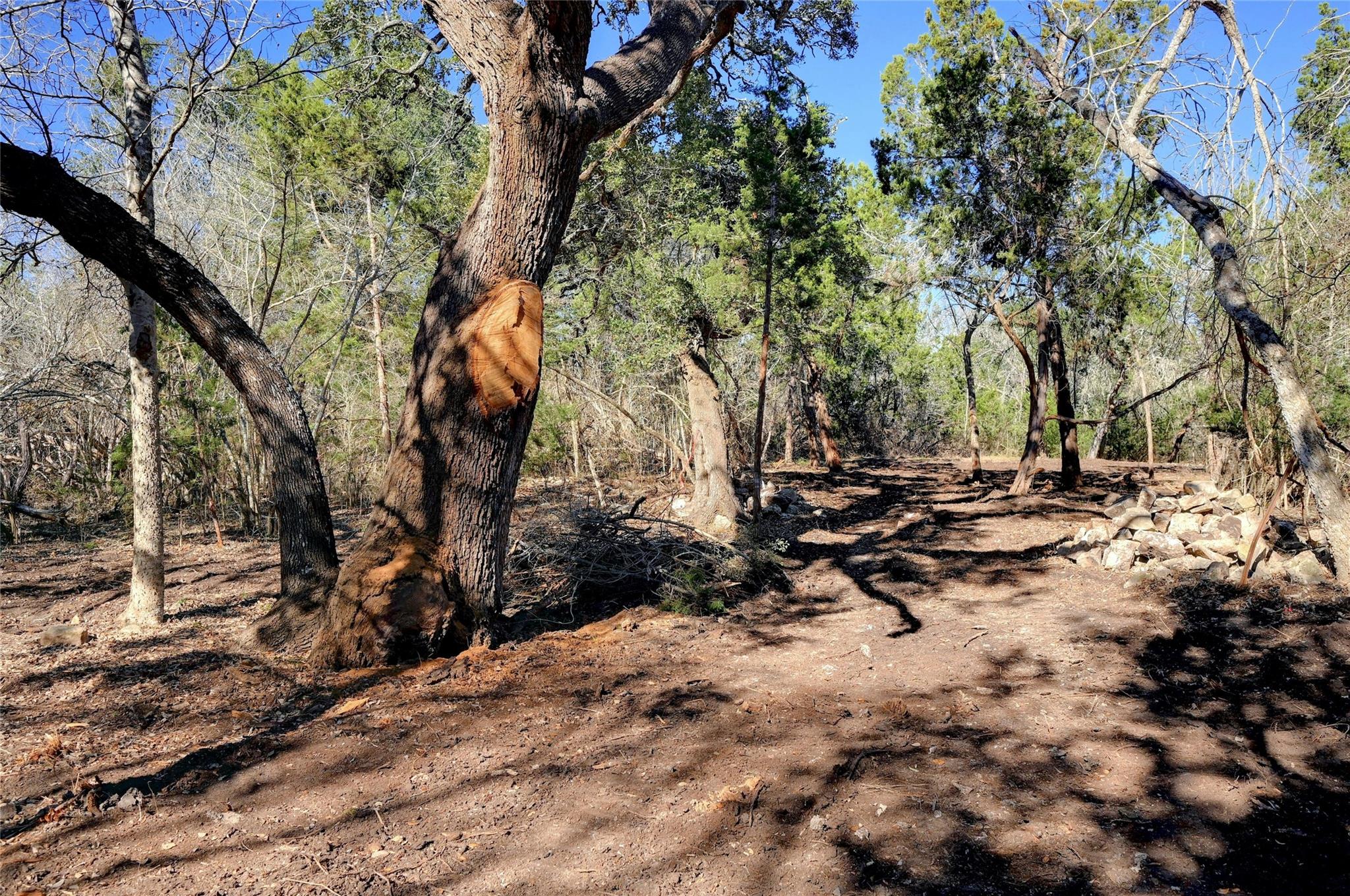 LOT A Ranch Rd 165 Rd, Blanco, TX 78606