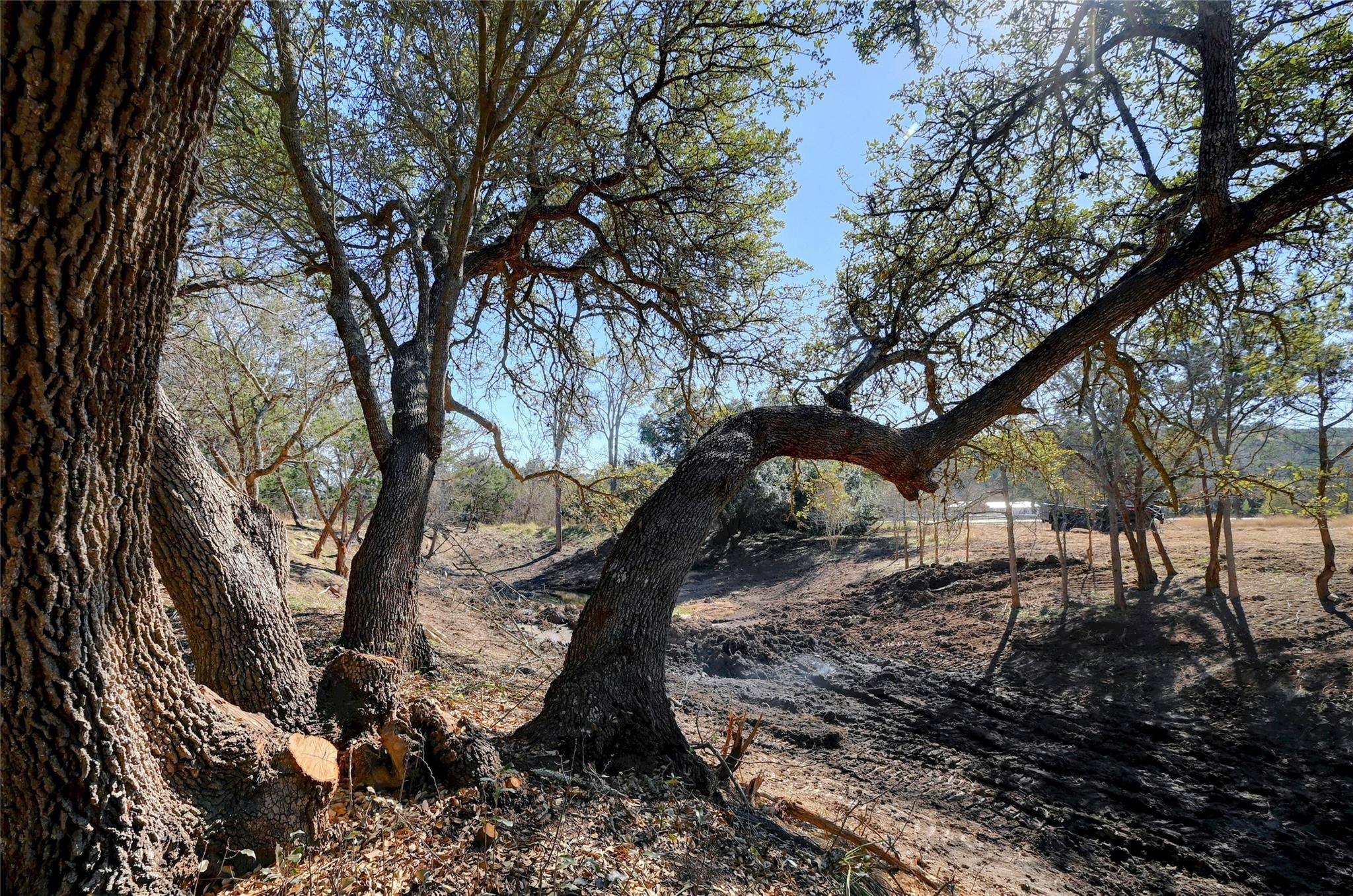 LOT A Ranch Rd 165 Rd, Blanco, TX 78606