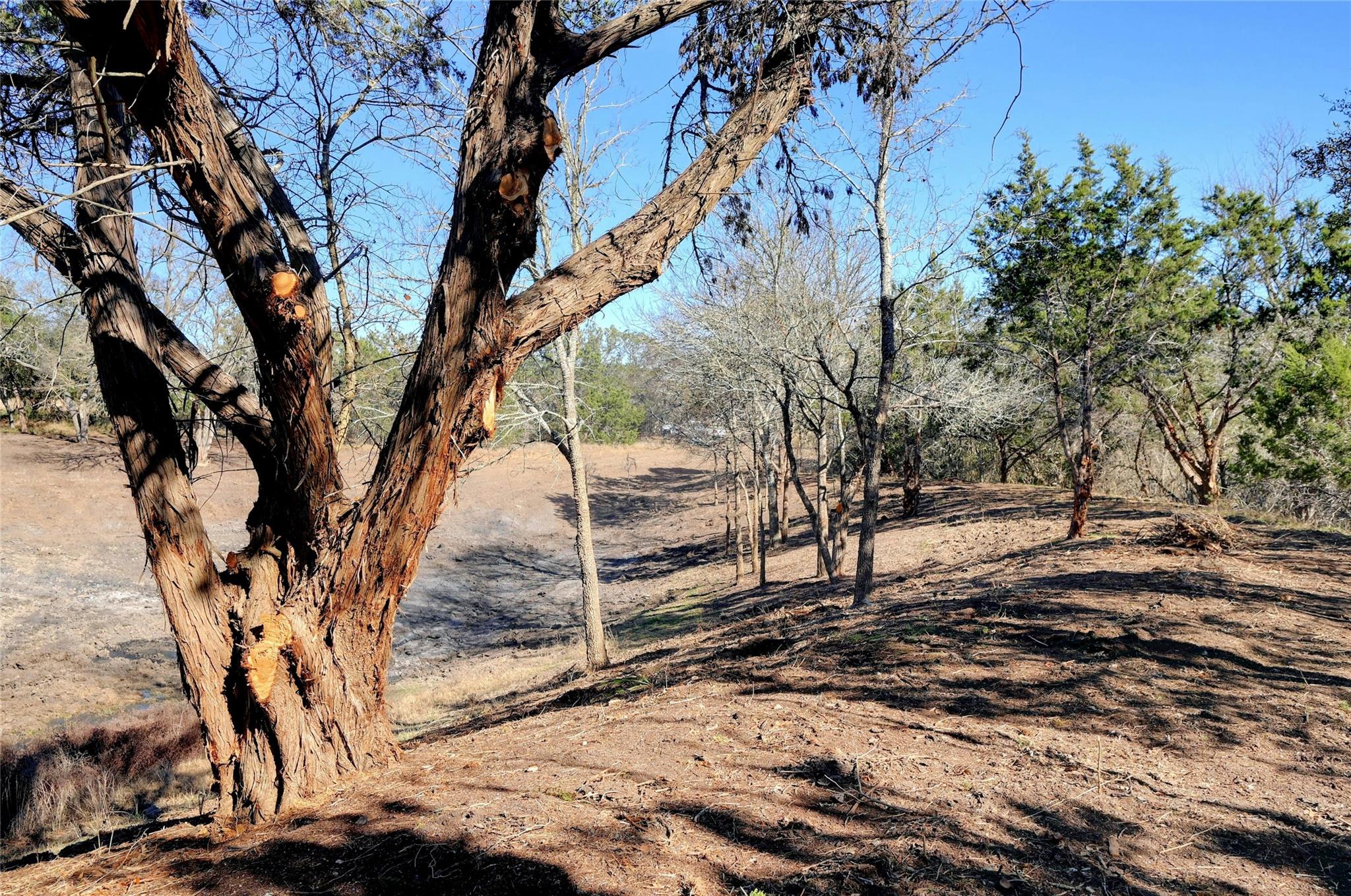 LOT A Ranch Rd 165 Rd, Blanco, TX 78606