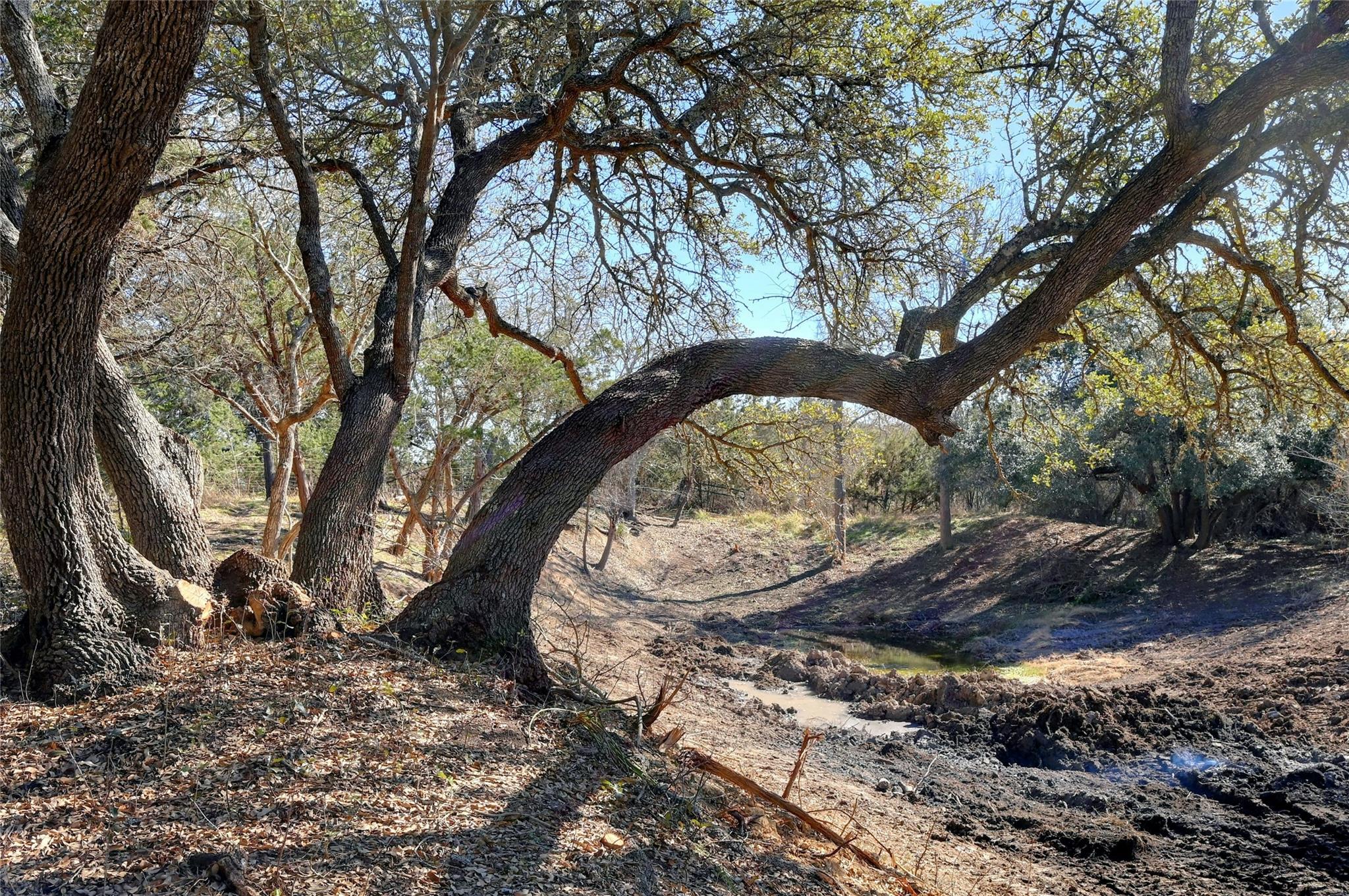 LOT A Ranch Rd 165 Rd, Blanco, TX 78606