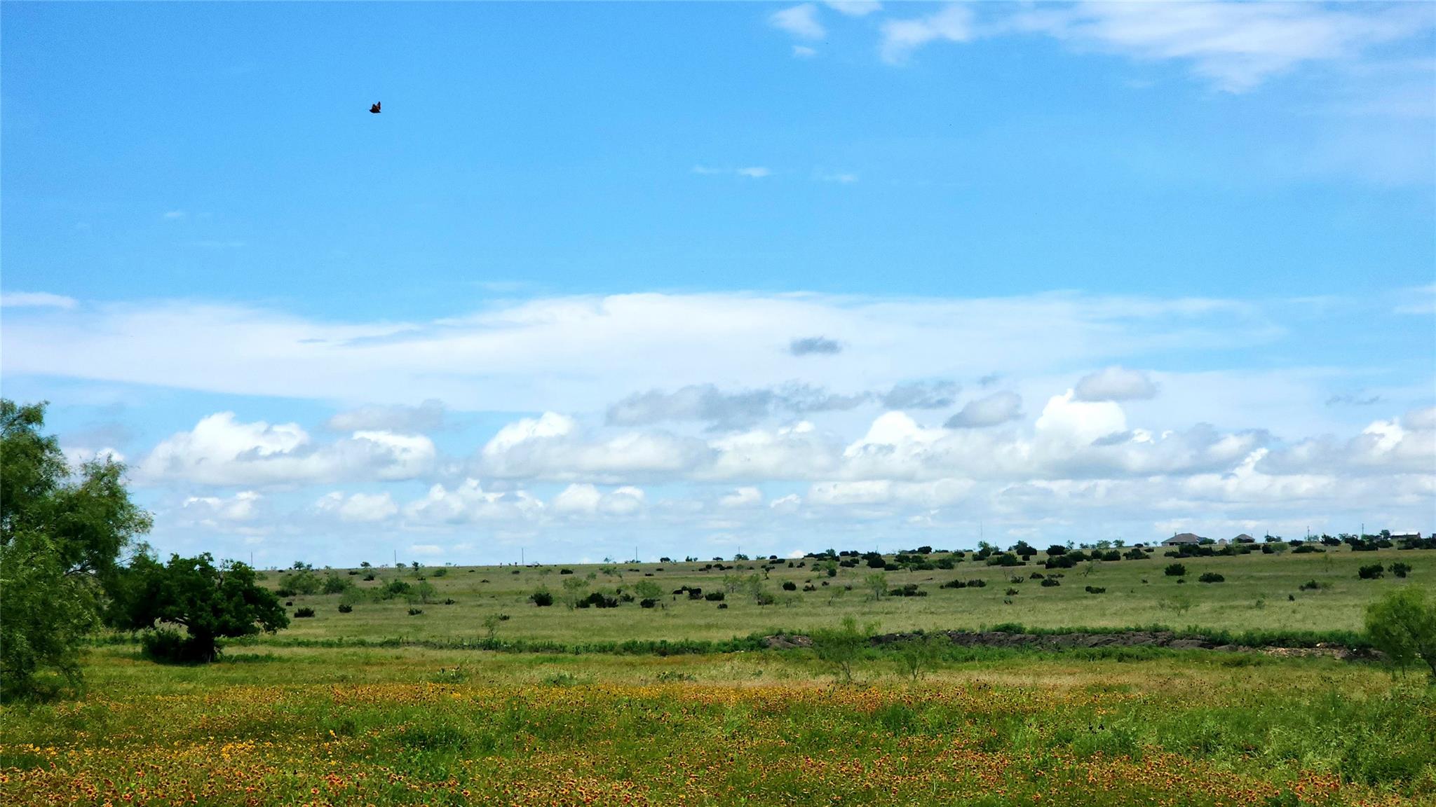 TBD County Road 963 E, Bertram, TX 78605