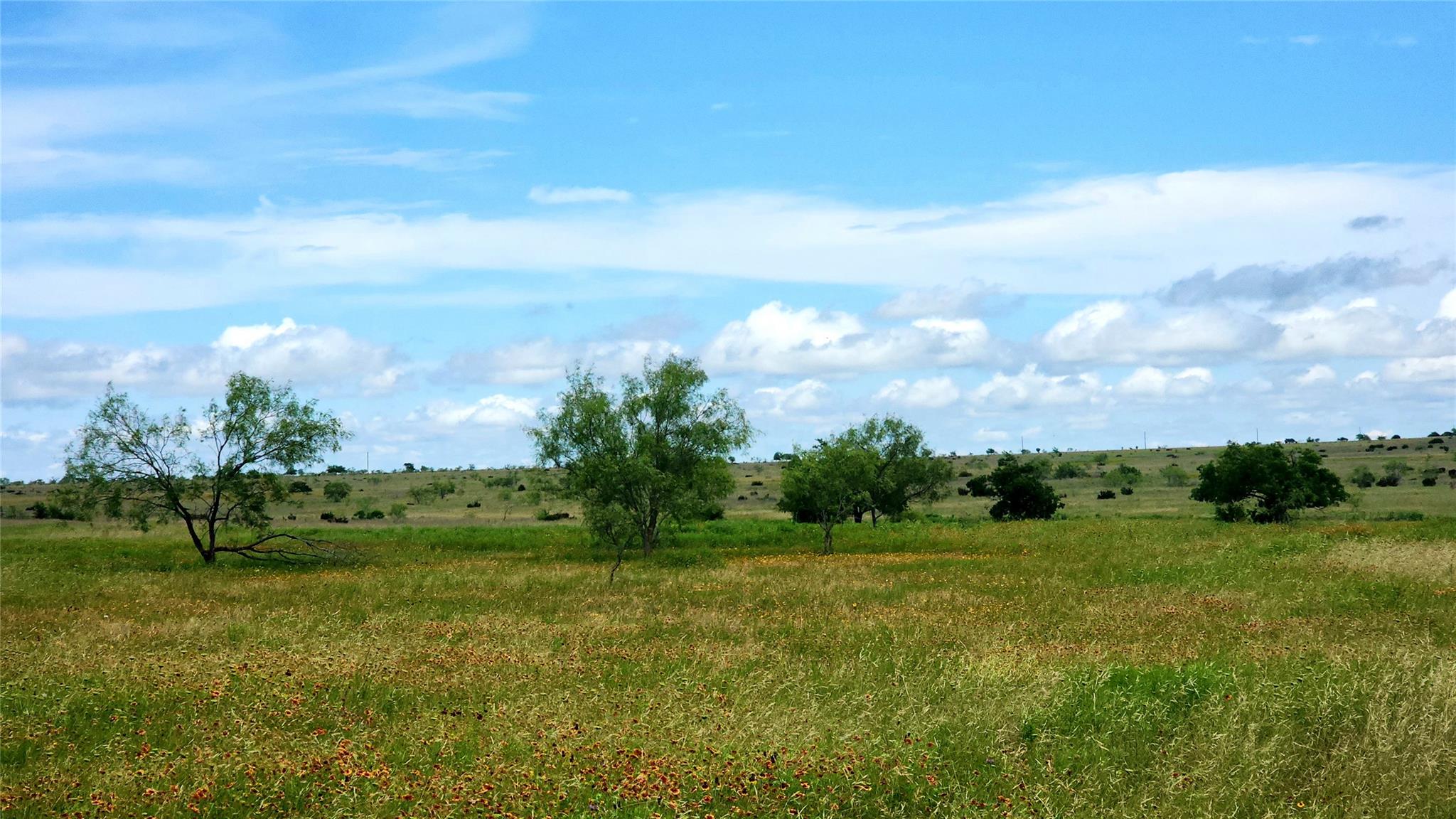 TBD County Road 963 E, Bertram, TX 78605