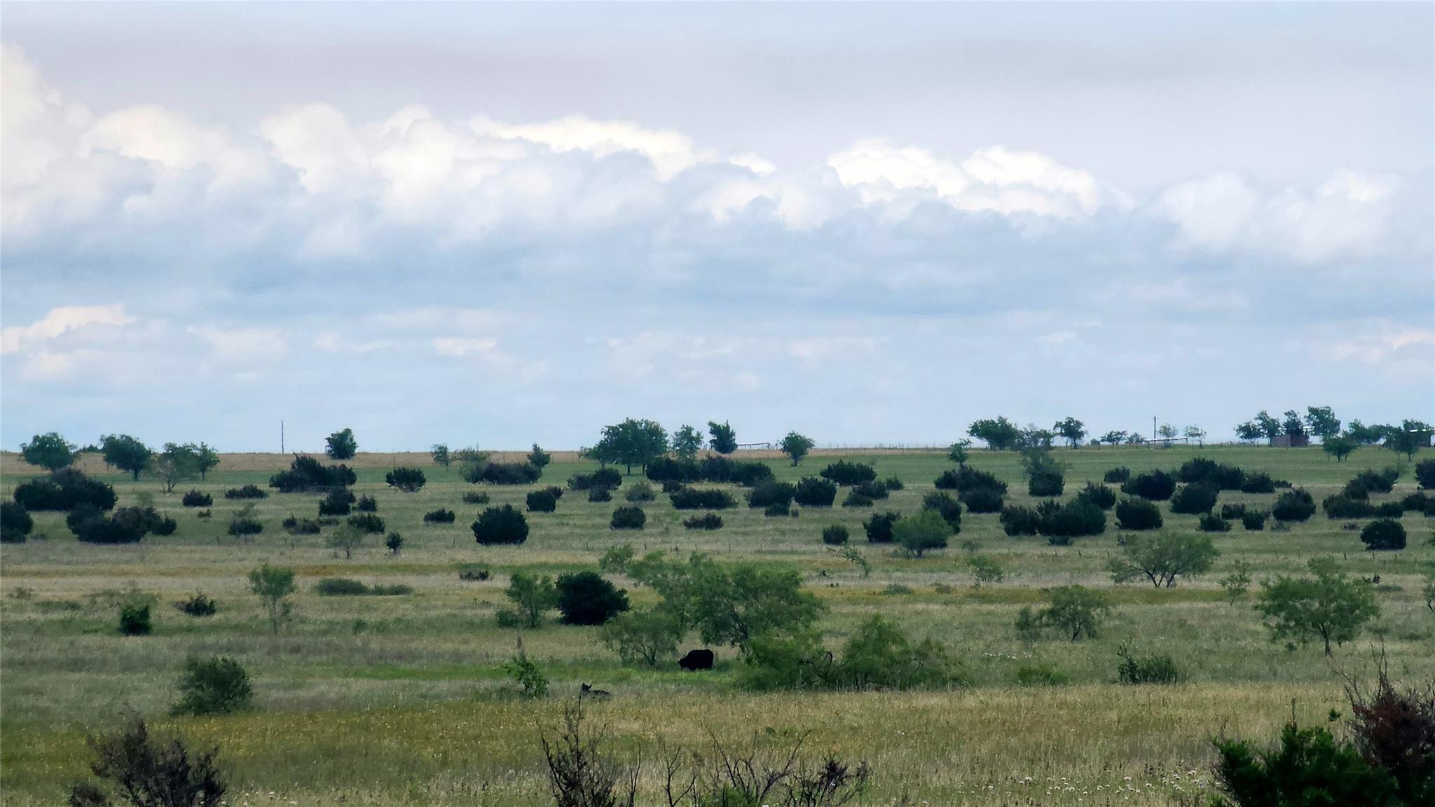 TBD County Road 963 E, Bertram, TX 78605