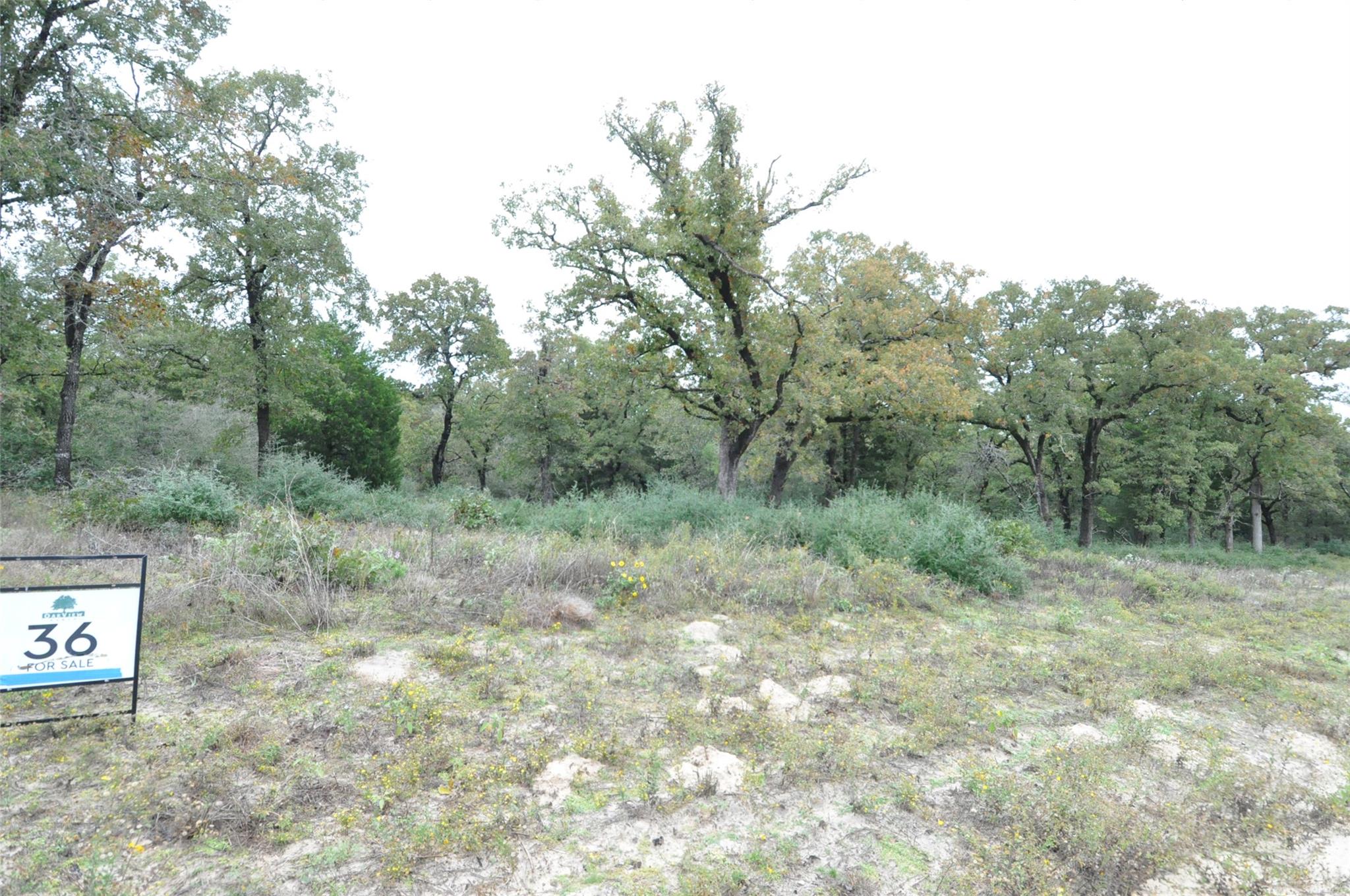 TBD OakView Ln, Thrall, TX 76578