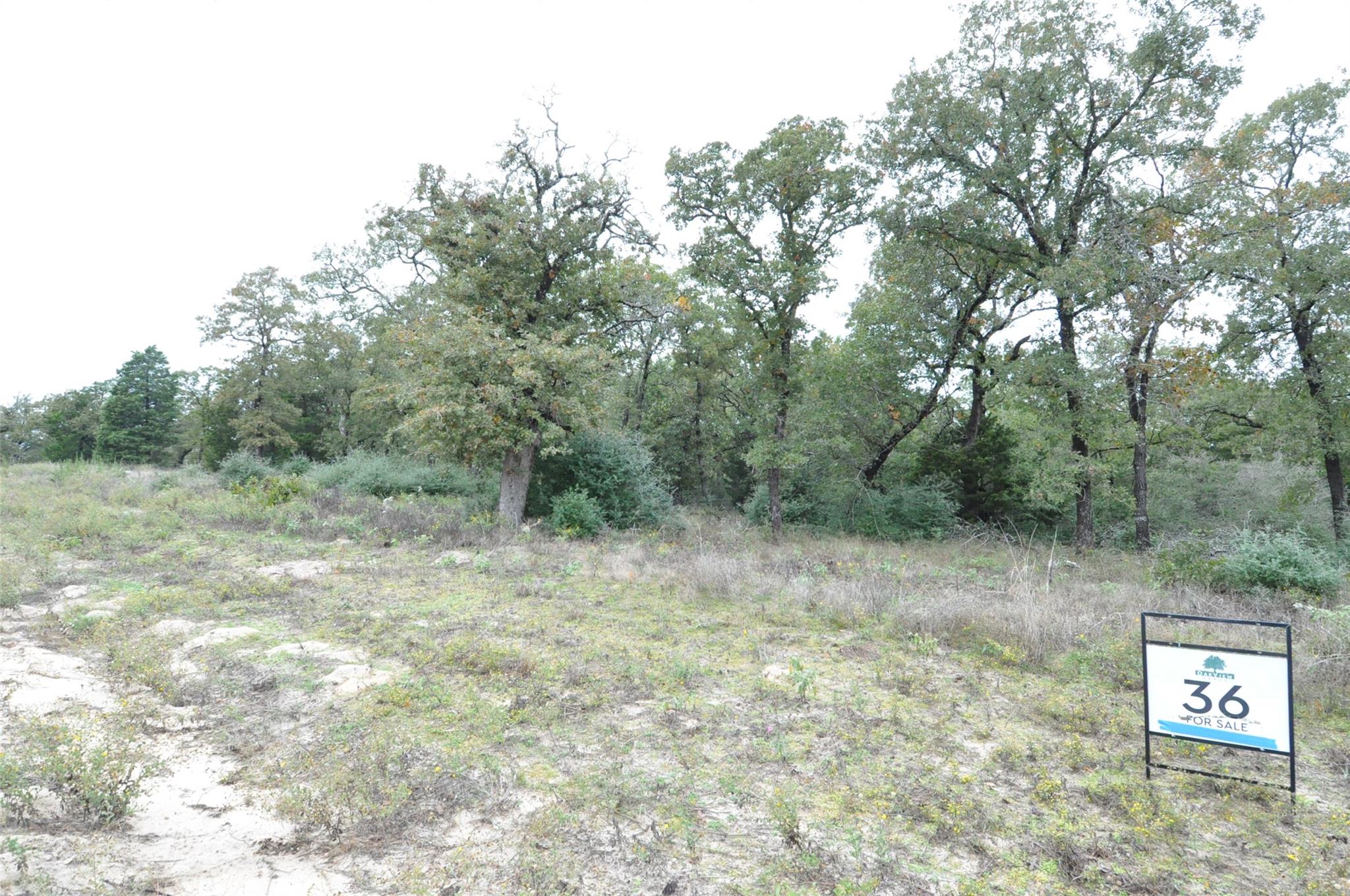 TBD OakView Ln, Thrall, TX 76578