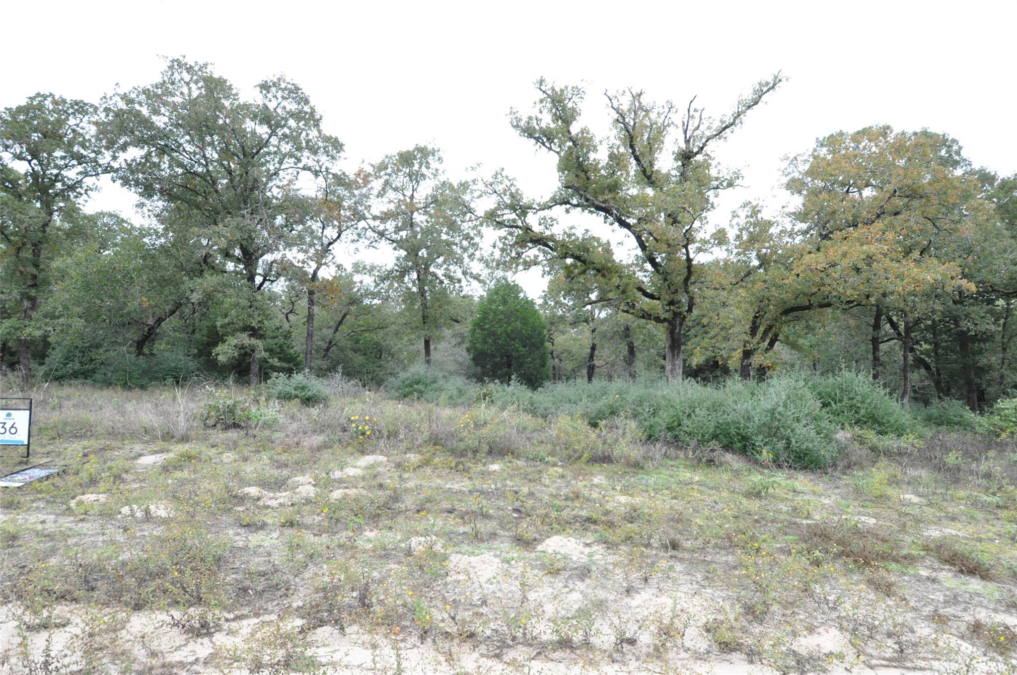 TBD OakView Ln, Thrall, TX 76578
