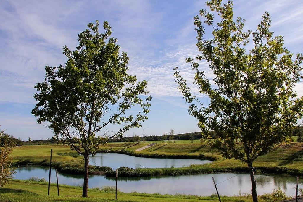 9712 Grapevine Leaf Dr, Manor, TX 78653