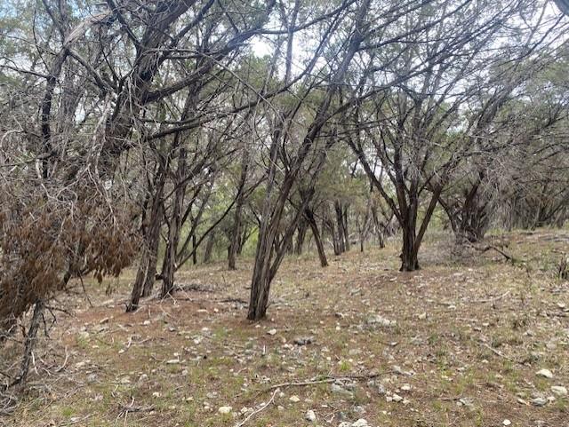 20902 Stone Cliff Dr, Lago Vista, TX 78645