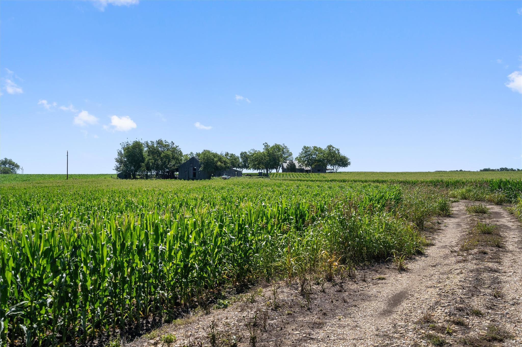 1701 County Road 424, Taylor, TX 76574