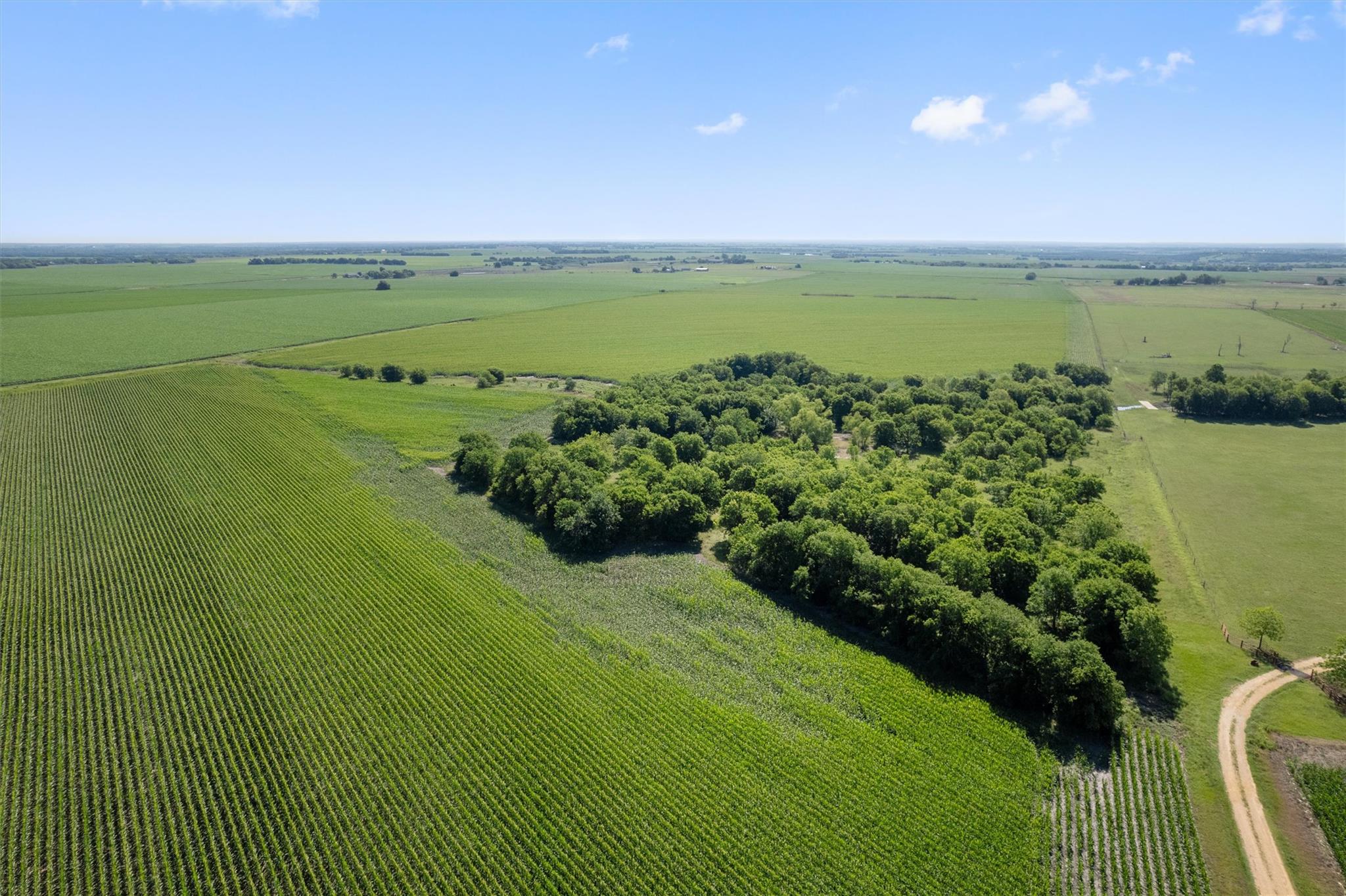 1701 County Road 424, Taylor, TX 76574