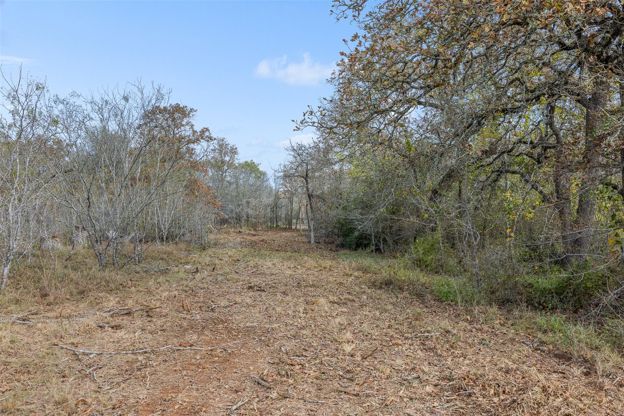800 Bugtussle Ln, Luling, TX 78648