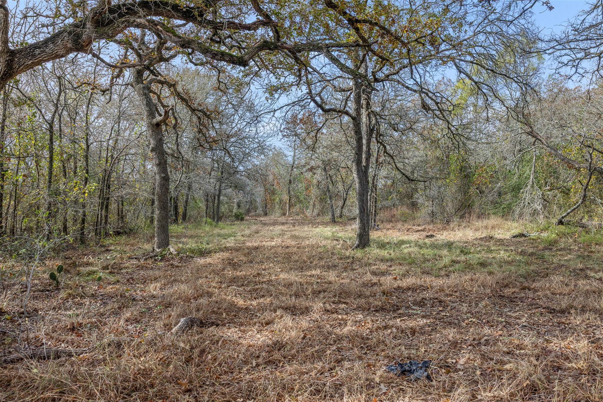 800 Bugtussle Ln, Luling, TX 78648