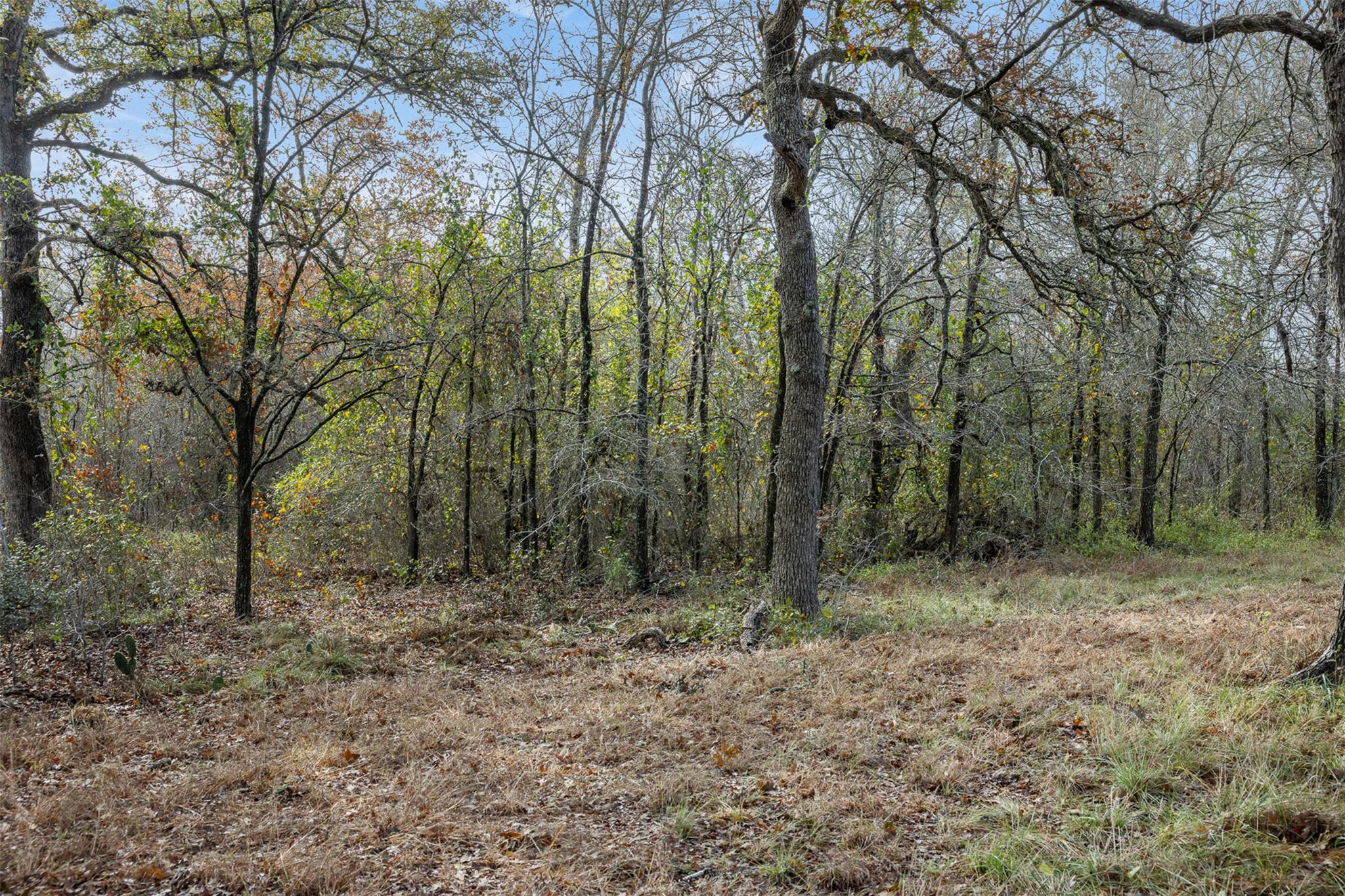 800 Bugtussle Ln, Luling, TX 78648