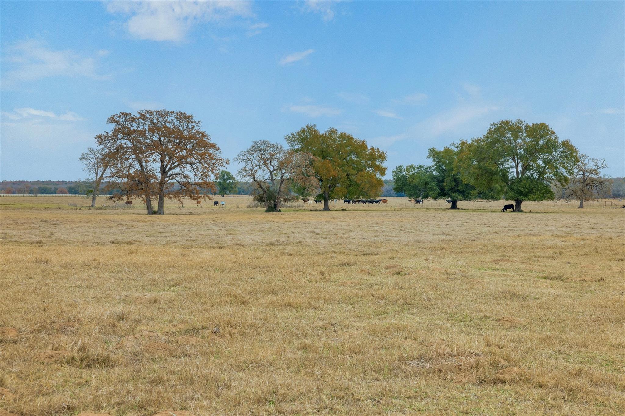 2150 County Road 412, Lexington, TX 78947