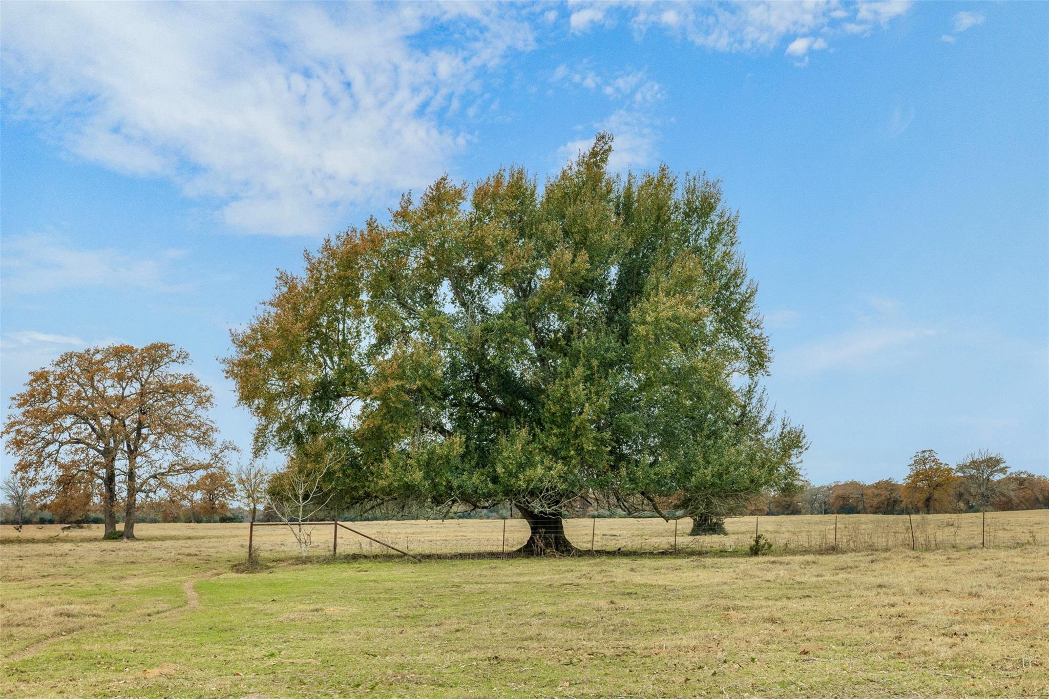 2150 County Road 412, Lexington, TX 78947