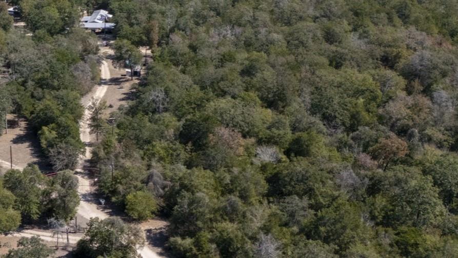 220 Clydesdale Dr, Dale, TX 78616