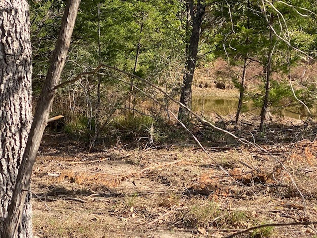 602 Oilers Dr, Somerville, TX 77879