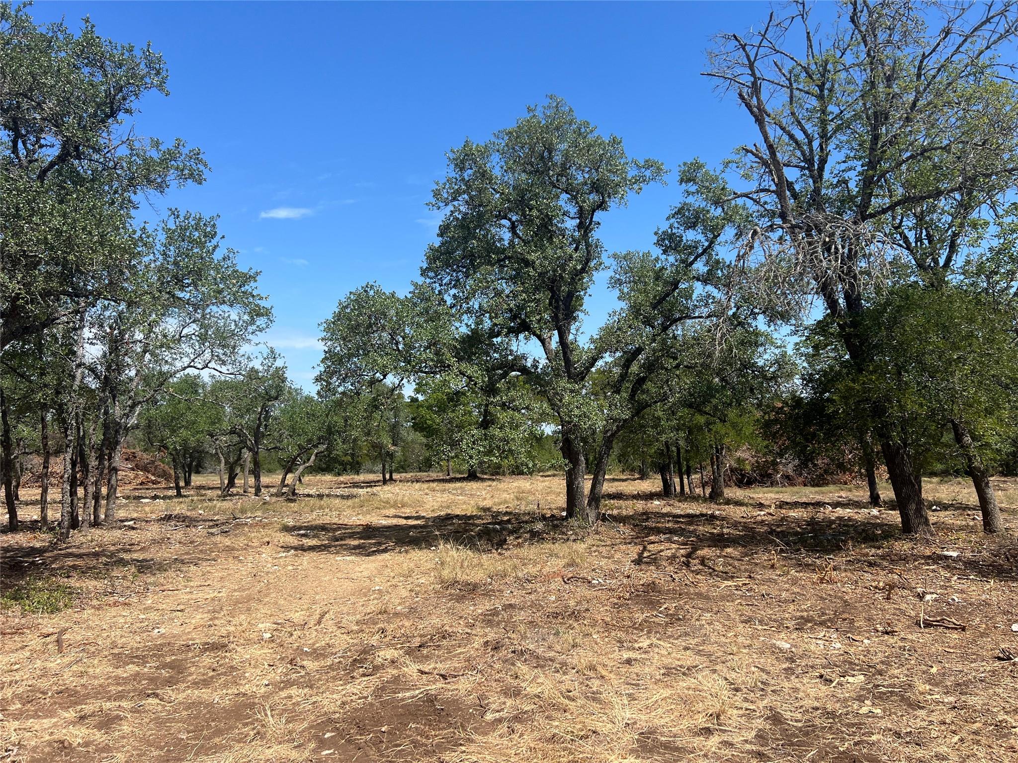 26.56 Acres Trautwein Rd, Austin, TX 78737