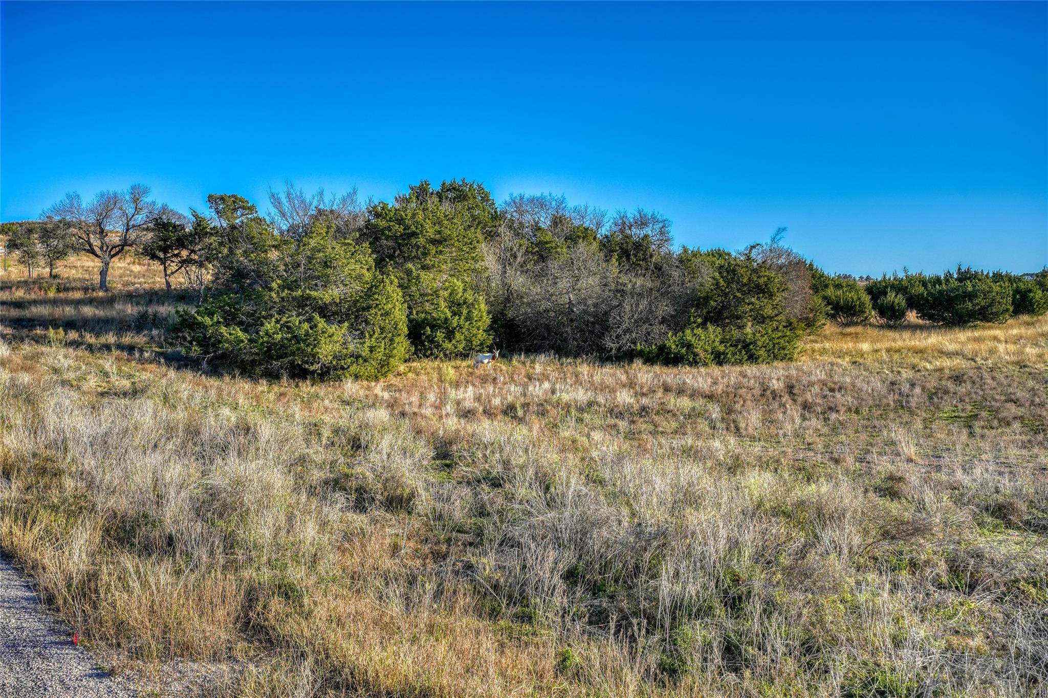 136 & 137 Falling Oak Dr, Blanco, TX 78606