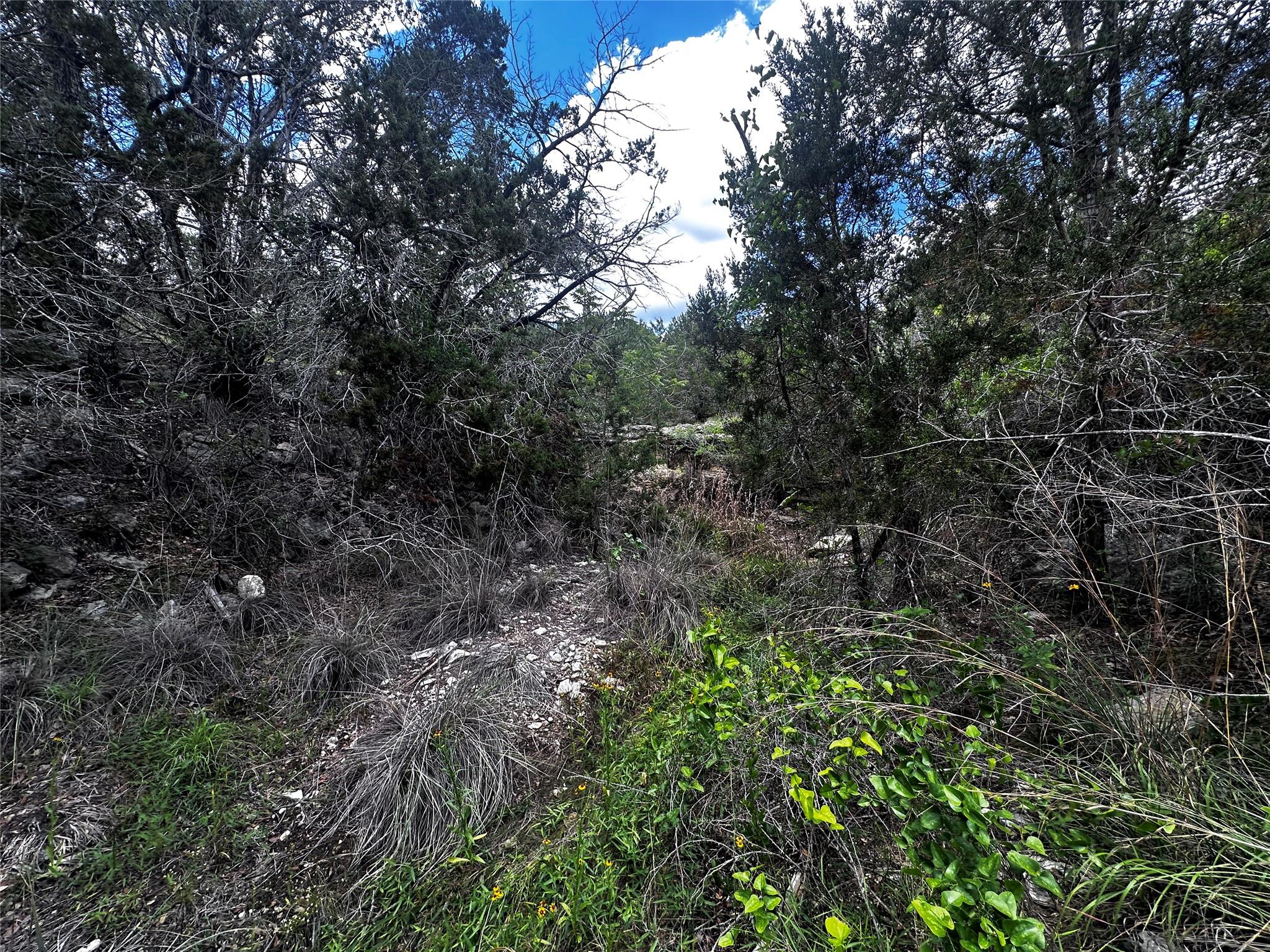 21114 Bertram Ln, Spicewood, TX 78669