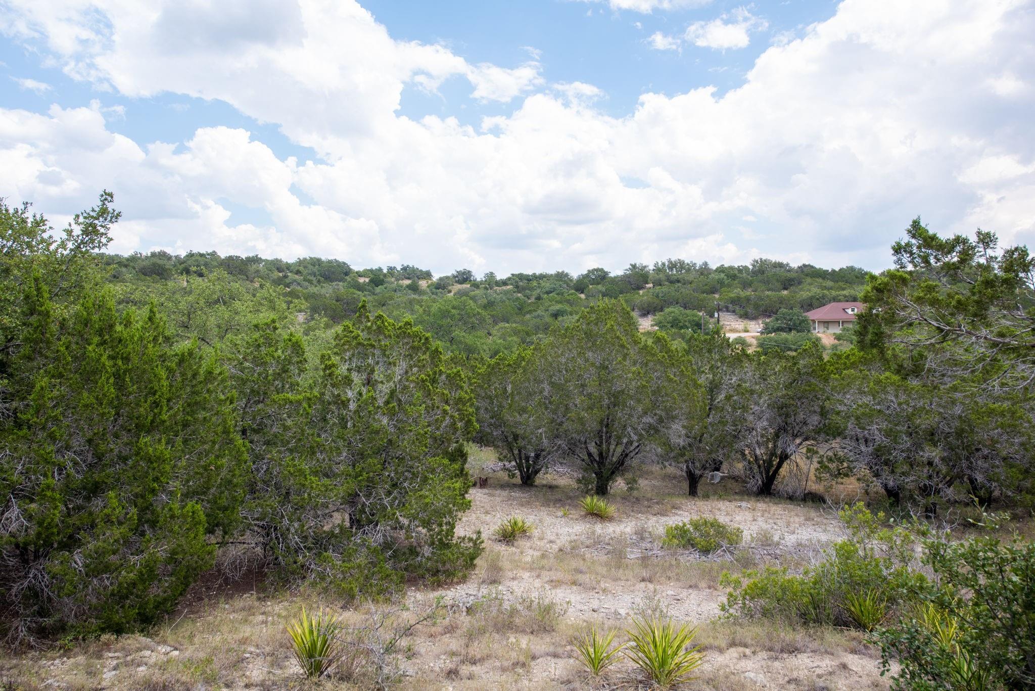 21114 Bertram Ln, Spicewood, TX 78669
