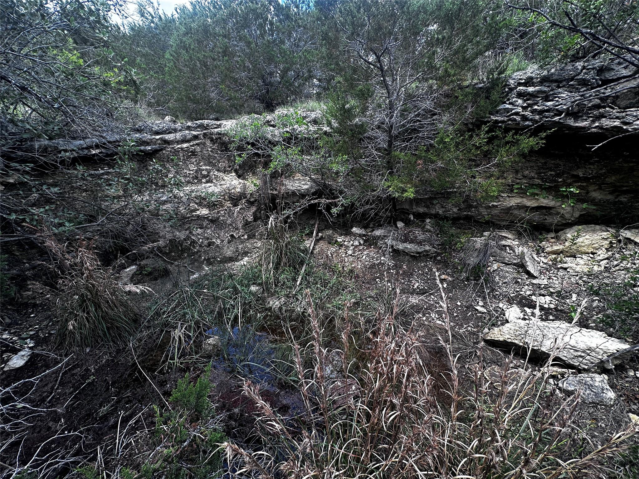 21114 Bertram Ln, Spicewood, TX 78669