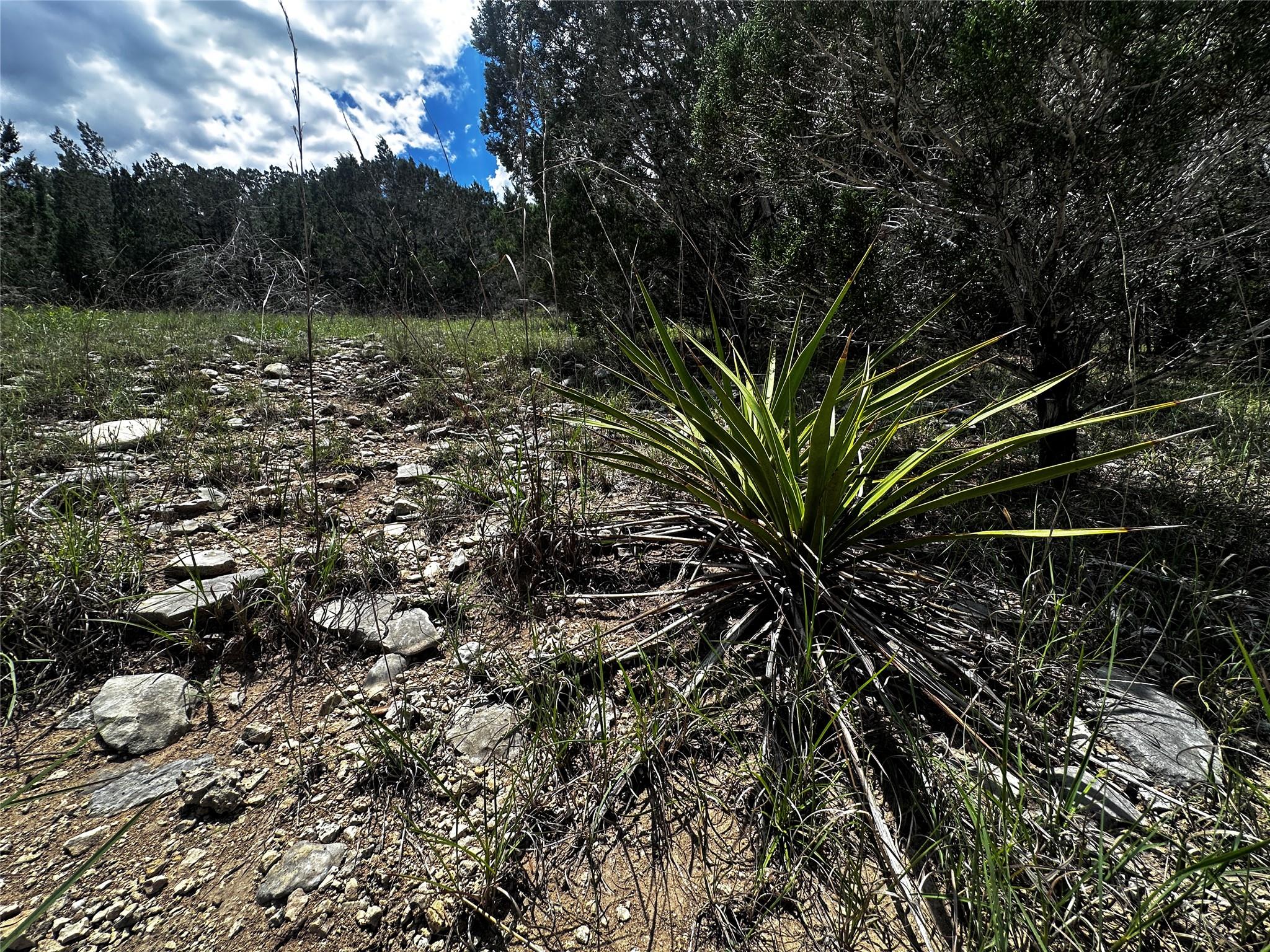 21114 Bertram Ln, Spicewood, TX 78669