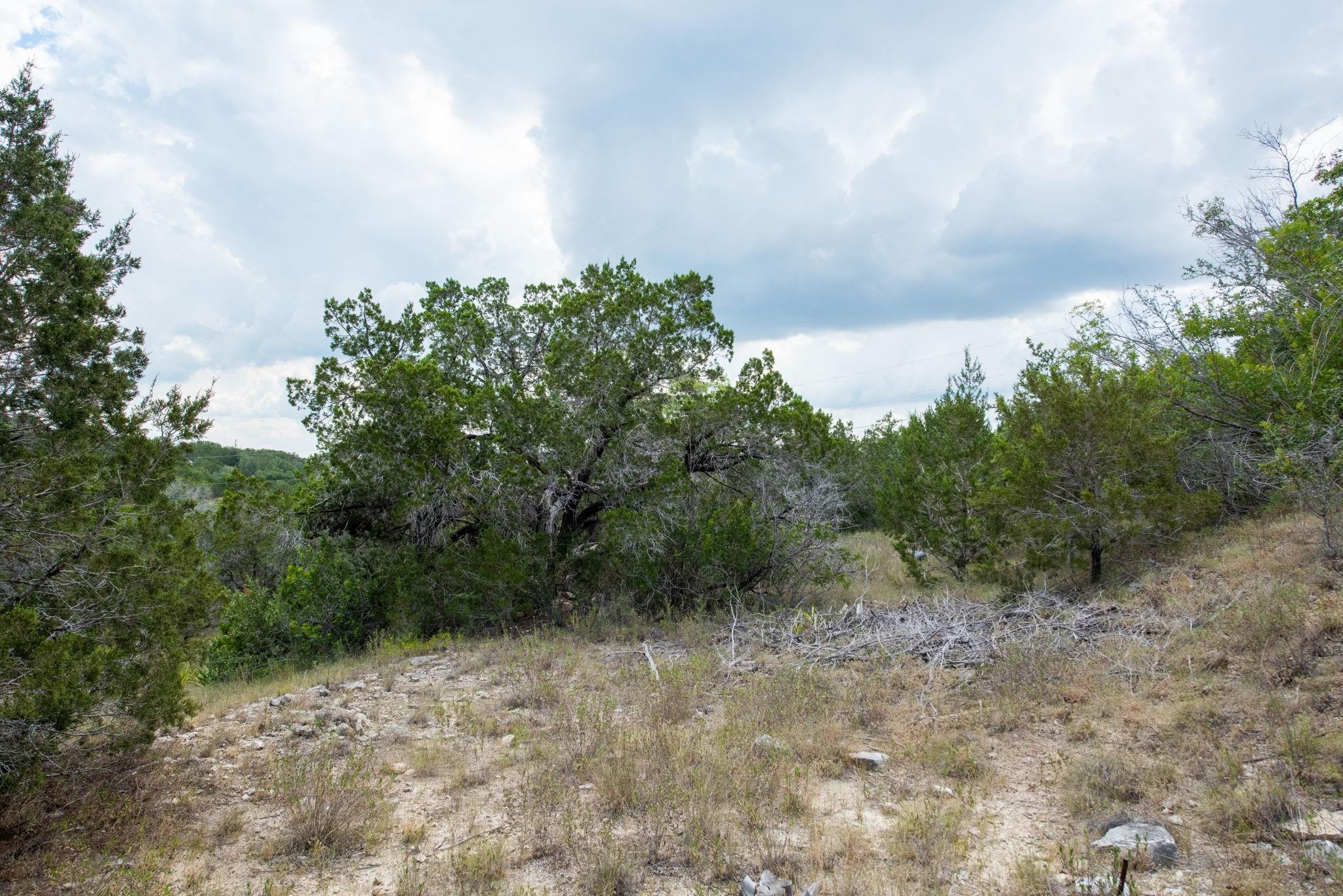 21114 Bertram Ln, Spicewood, TX 78669