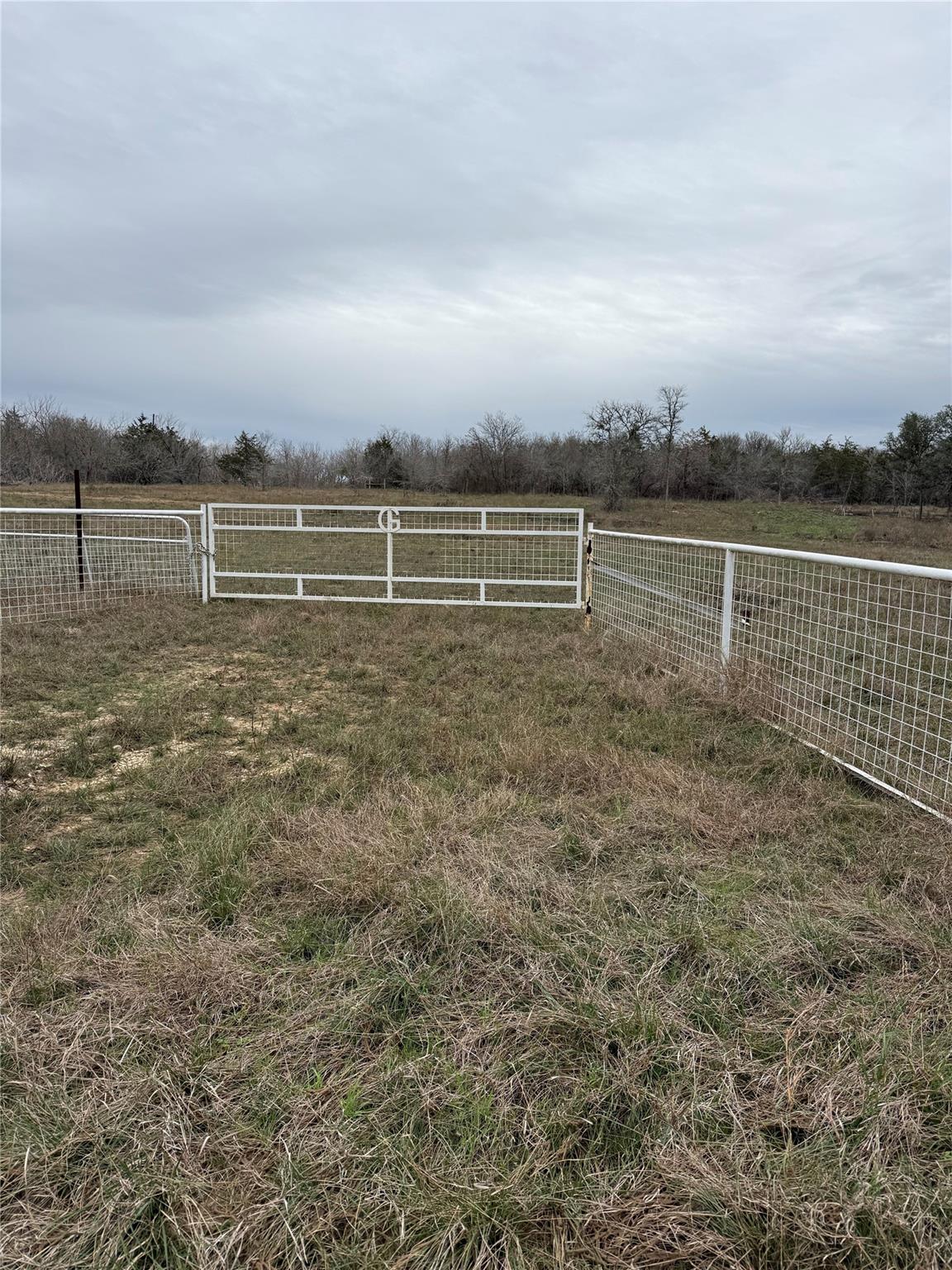 8300 Pettytown Rd, Red Rock, TX 78662