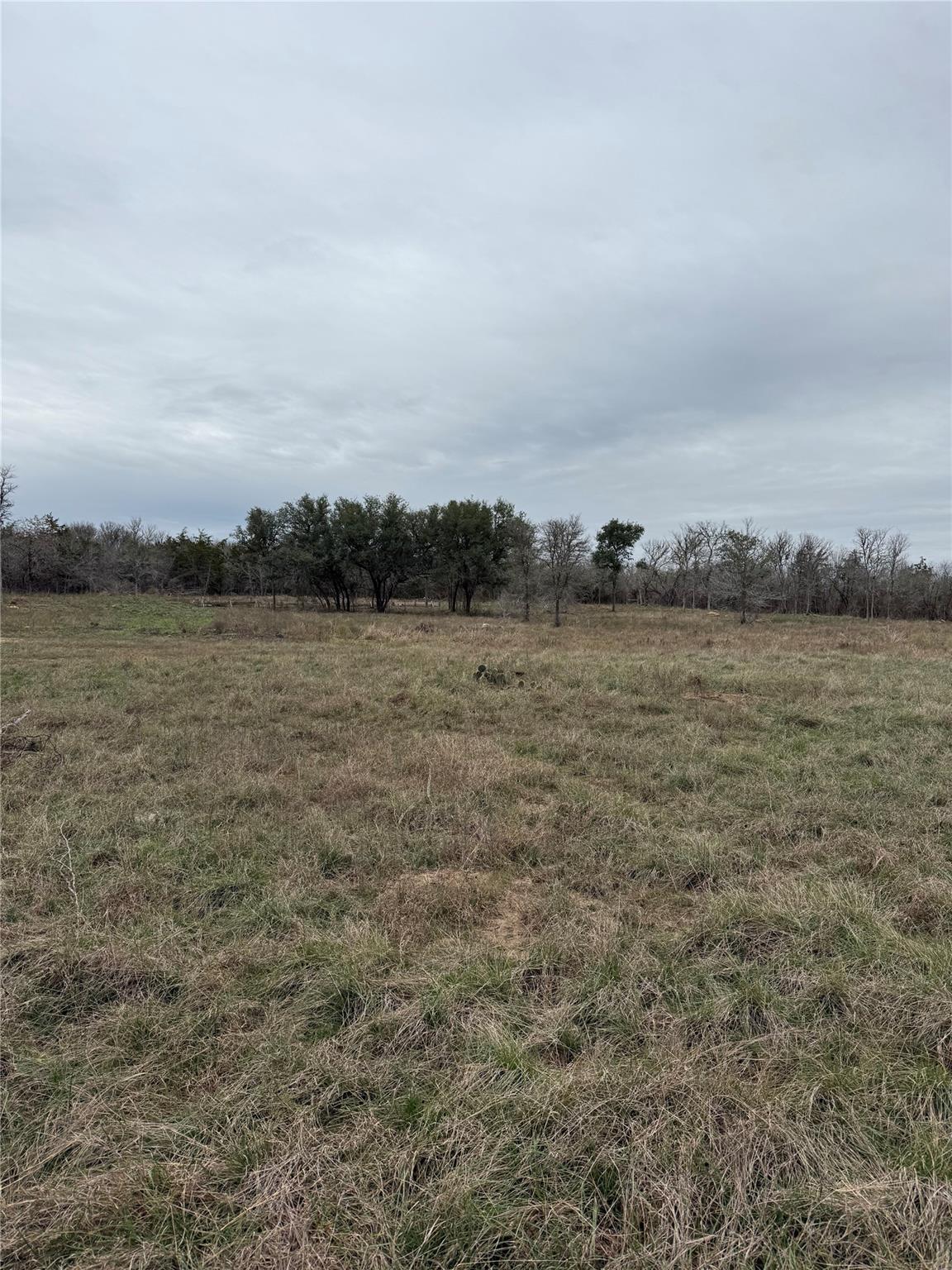 8300 Pettytown Rd, Red Rock, TX 78662