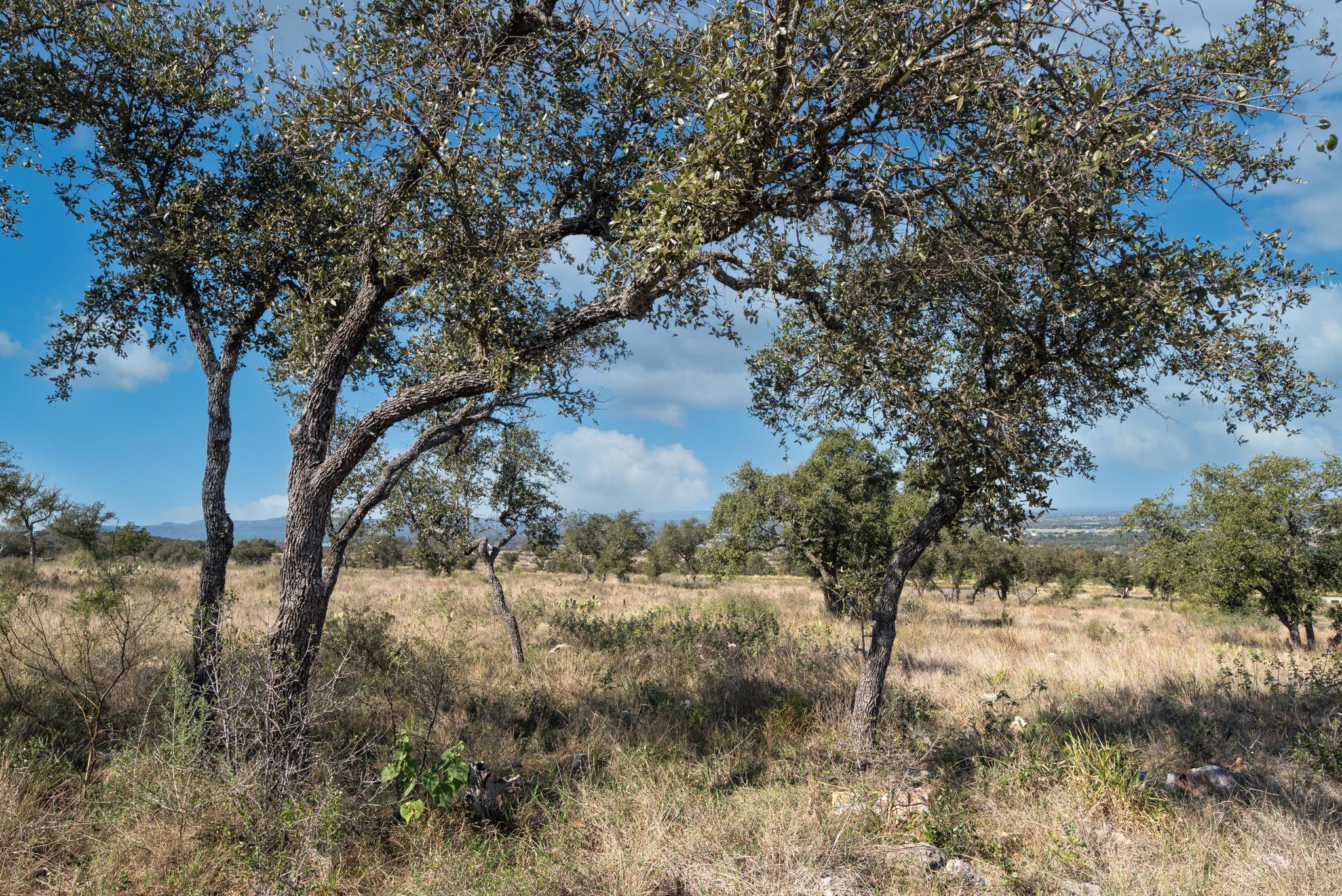 0 Whiterock, Kingsland, TX 78639