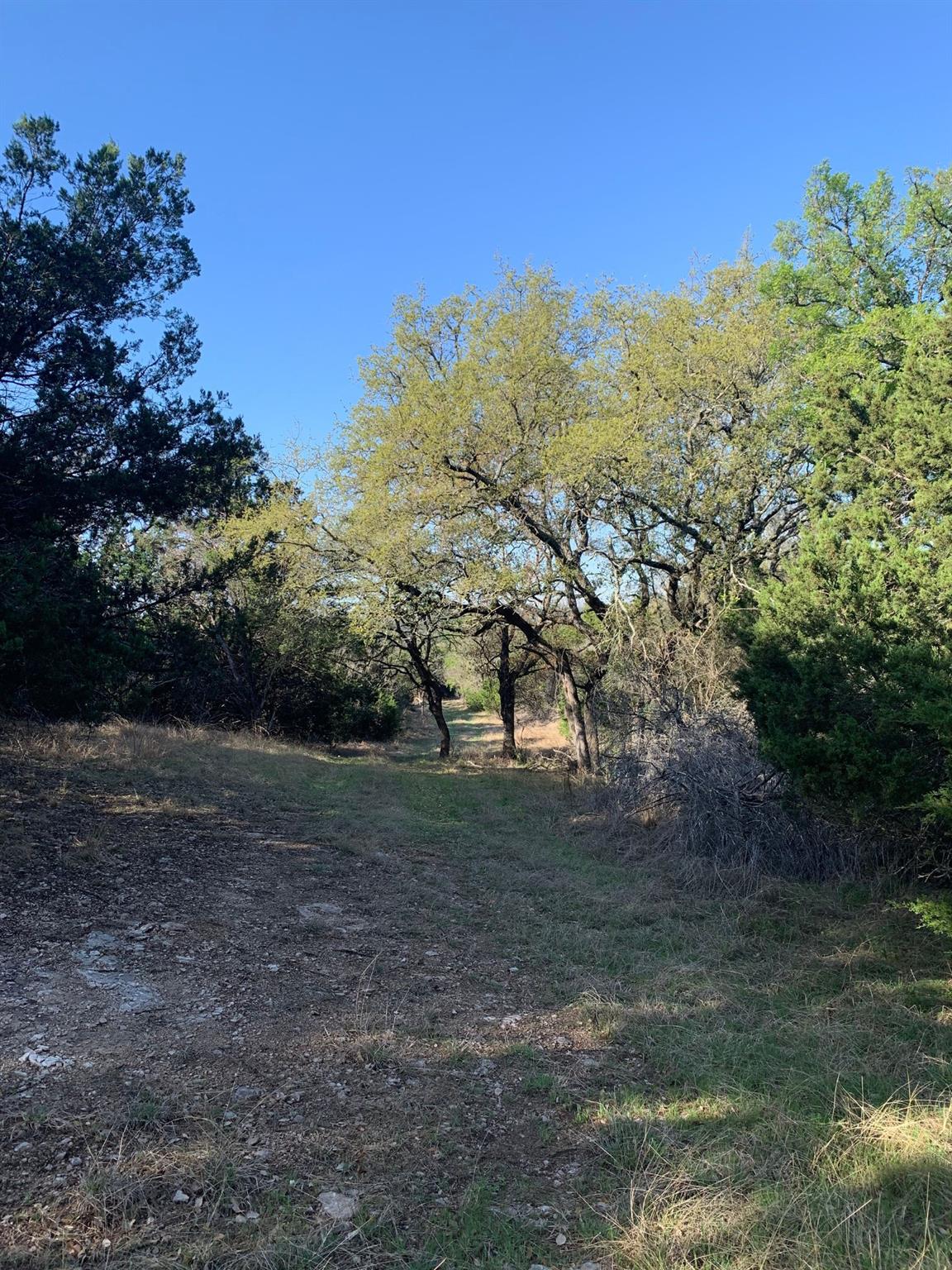 16350 Cedar Valley Rd, Salado, TX 76571