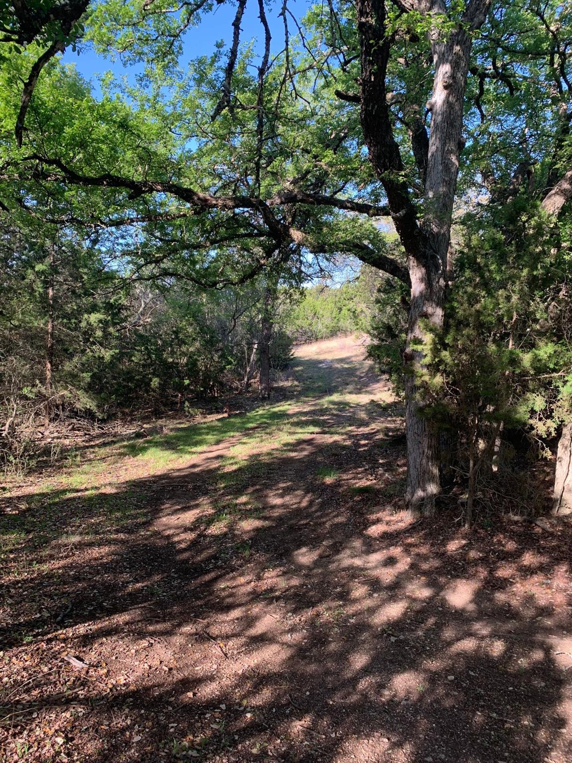 16350 Cedar Valley Rd, Salado, TX 76571