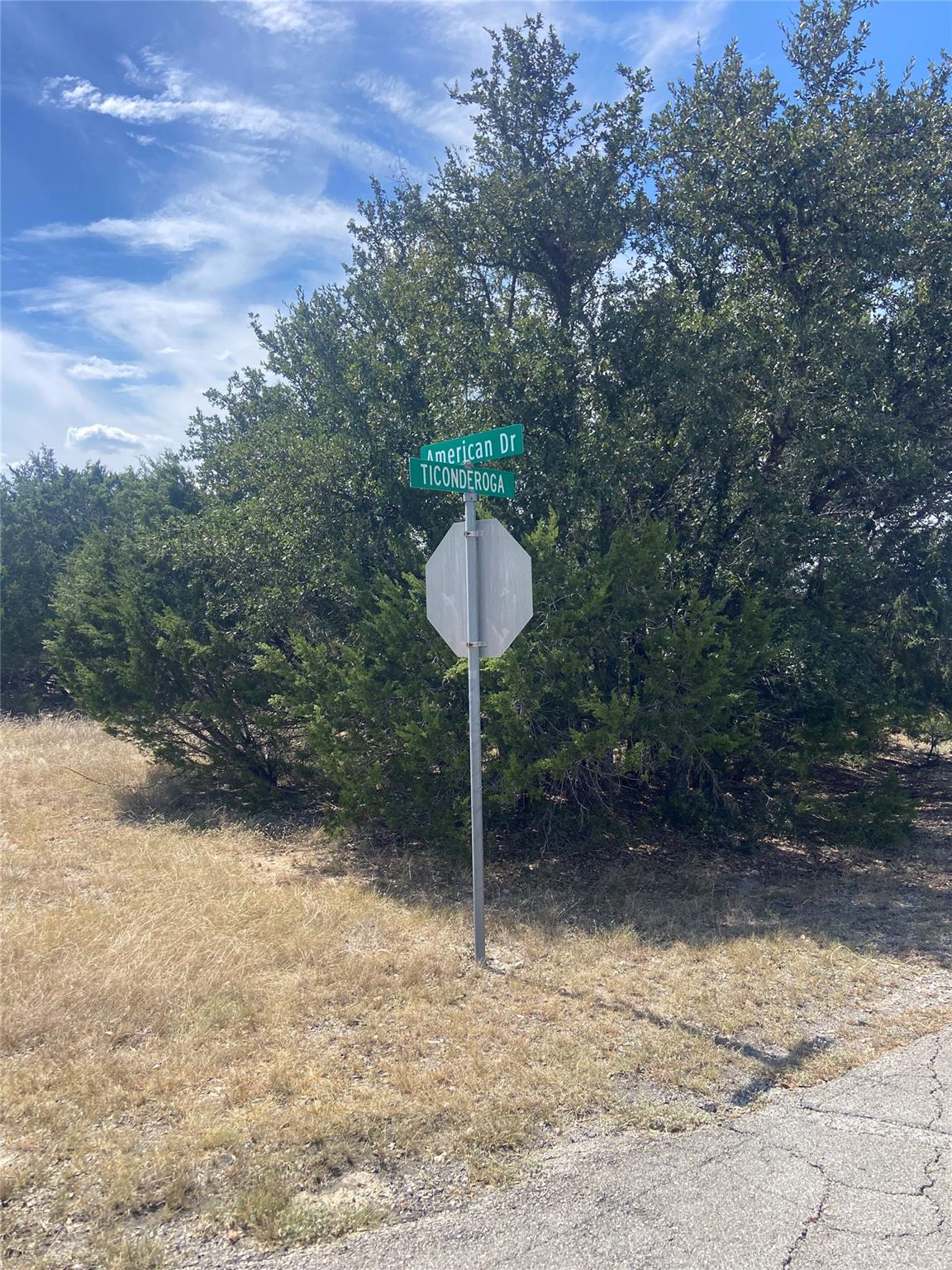 21844 Ticonderoga Ave, Lago Vista, TX 78645