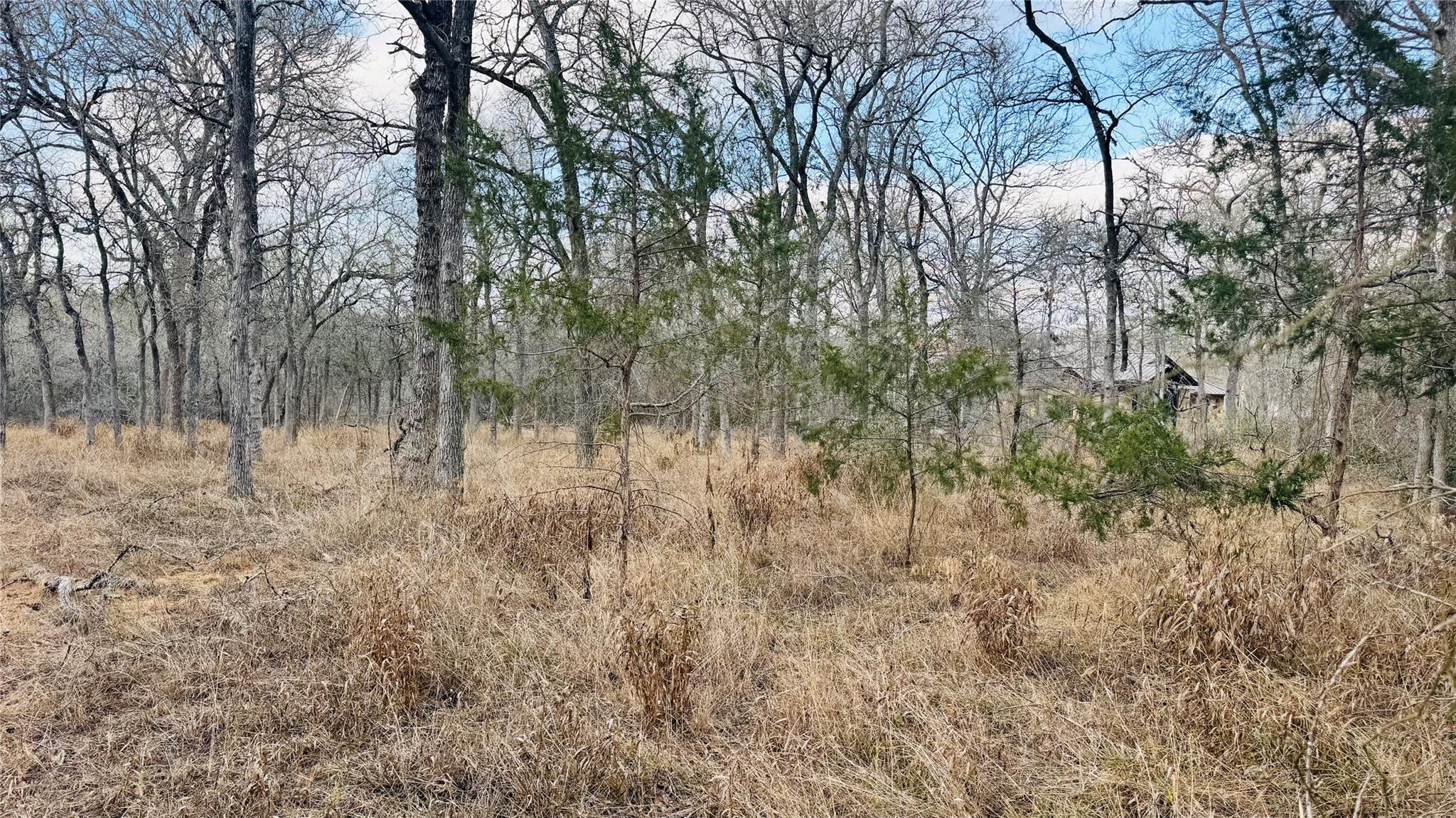 208 Sendero Blvd, Cedar Creek, TX 78612