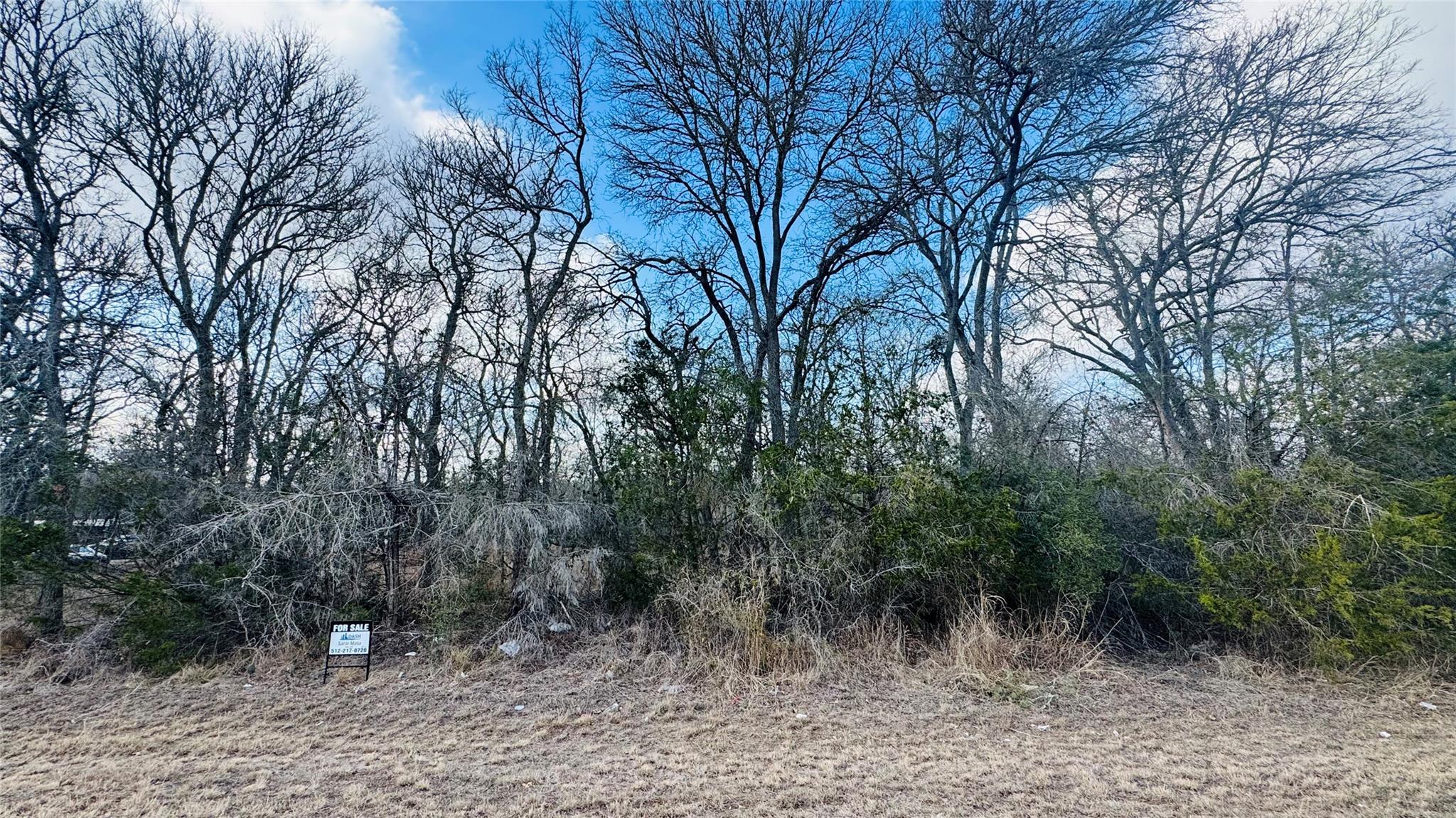 208 Sendero Blvd, Cedar Creek, TX 78612