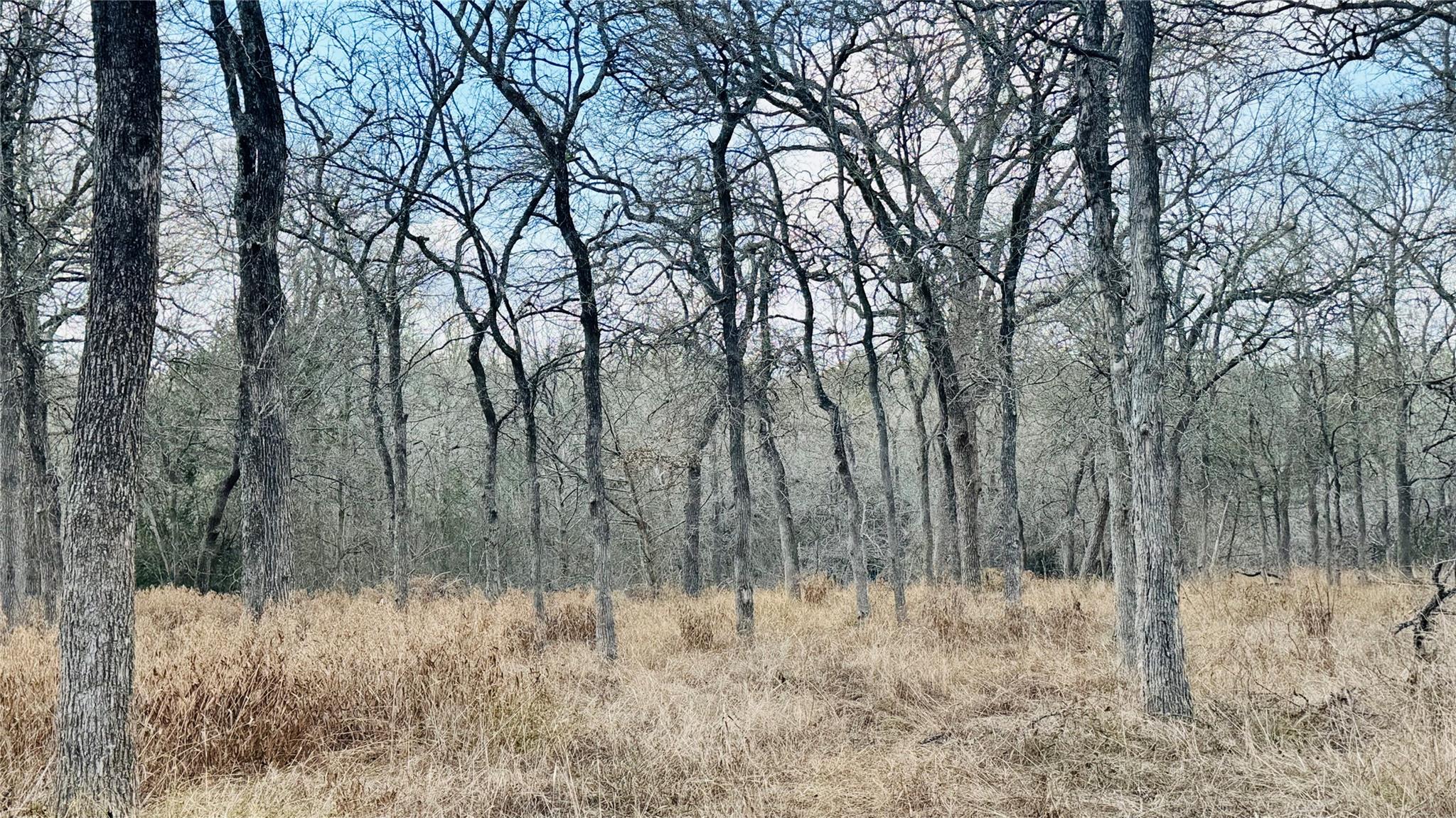 208 Sendero Blvd, Cedar Creek, TX 78612