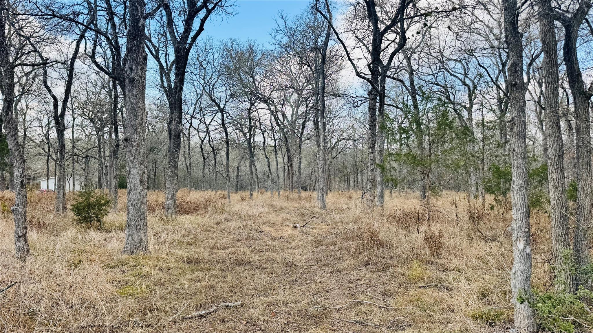 208 Sendero Blvd, Cedar Creek, TX 78612