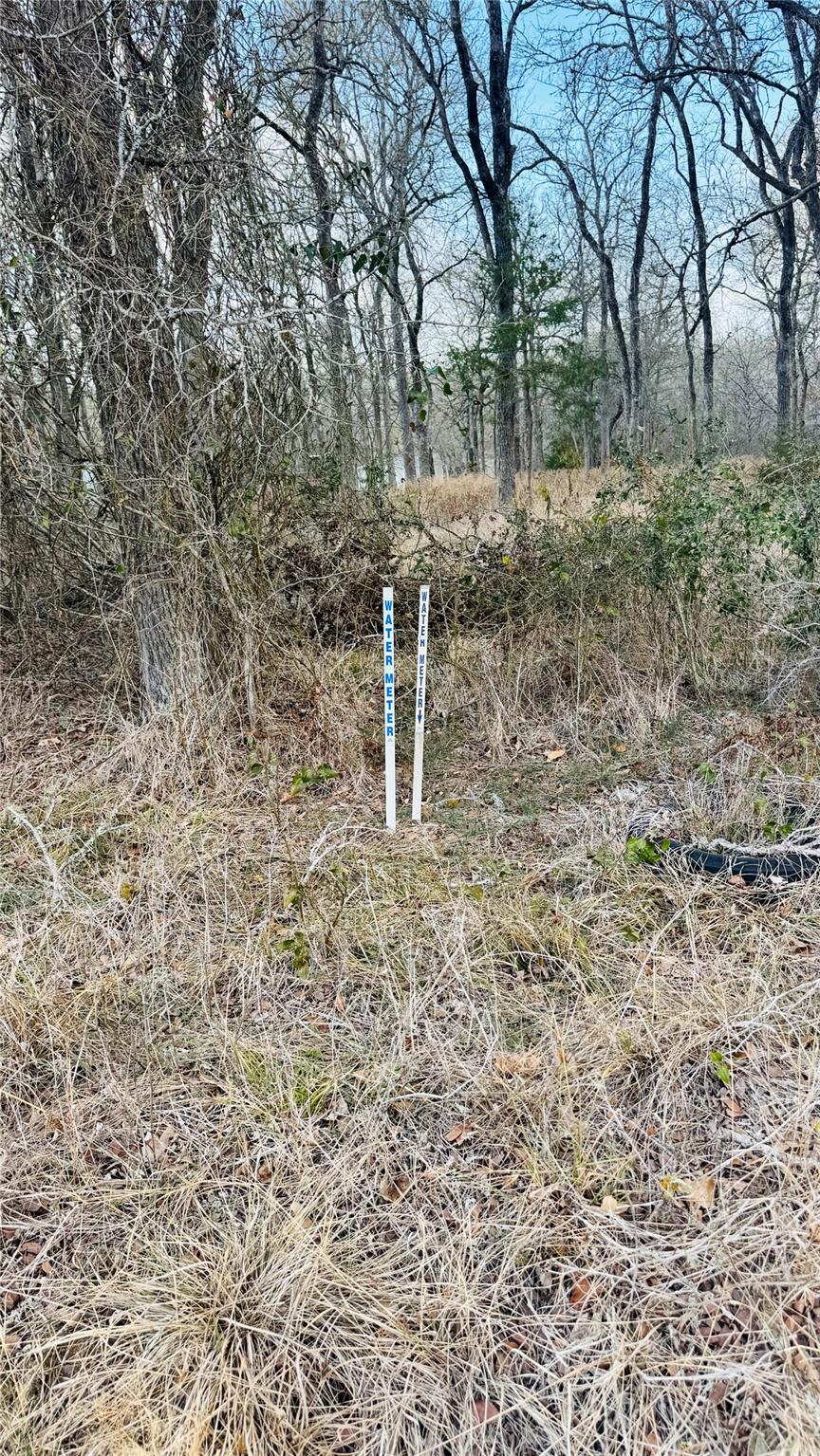 208 Sendero Blvd, Cedar Creek, TX 78612