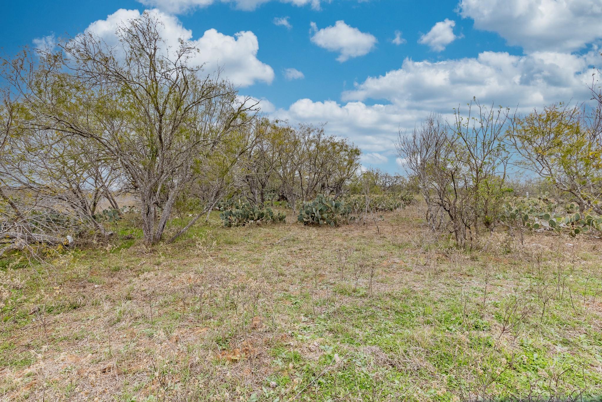 TBD Cr 157, Gonzales, TX 78629