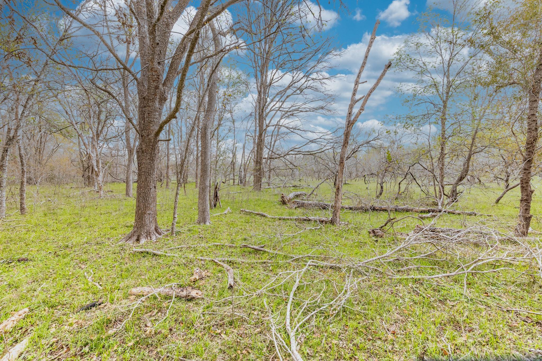 TBD Cr 157, Gonzales, TX 78629