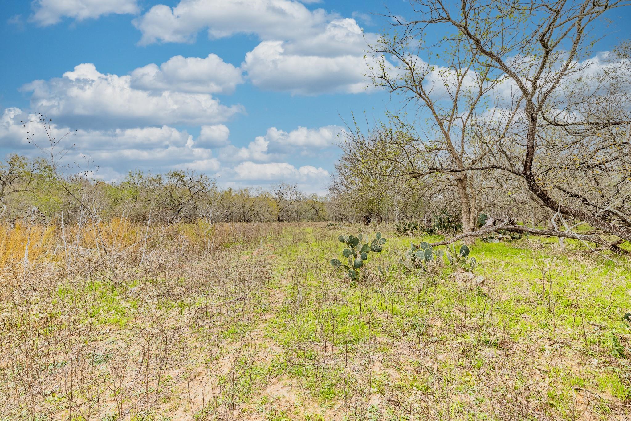 TBD Cr 157, Gonzales, TX 78629