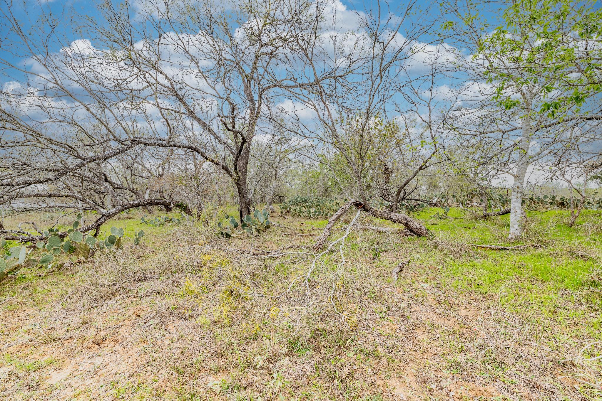 TBD Cr 157, Gonzales, TX 78629