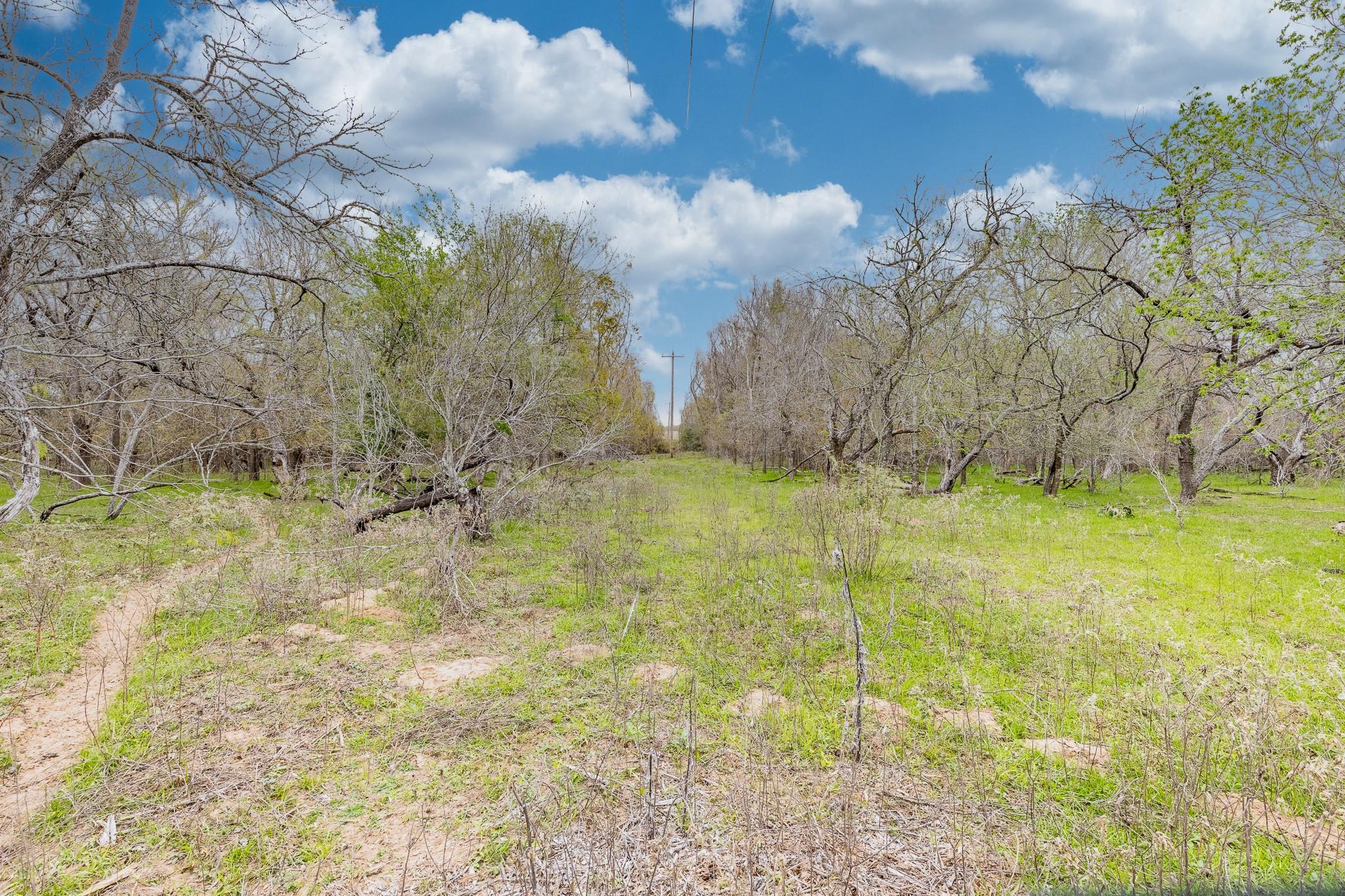 TBD Cr 157, Gonzales, TX 78629